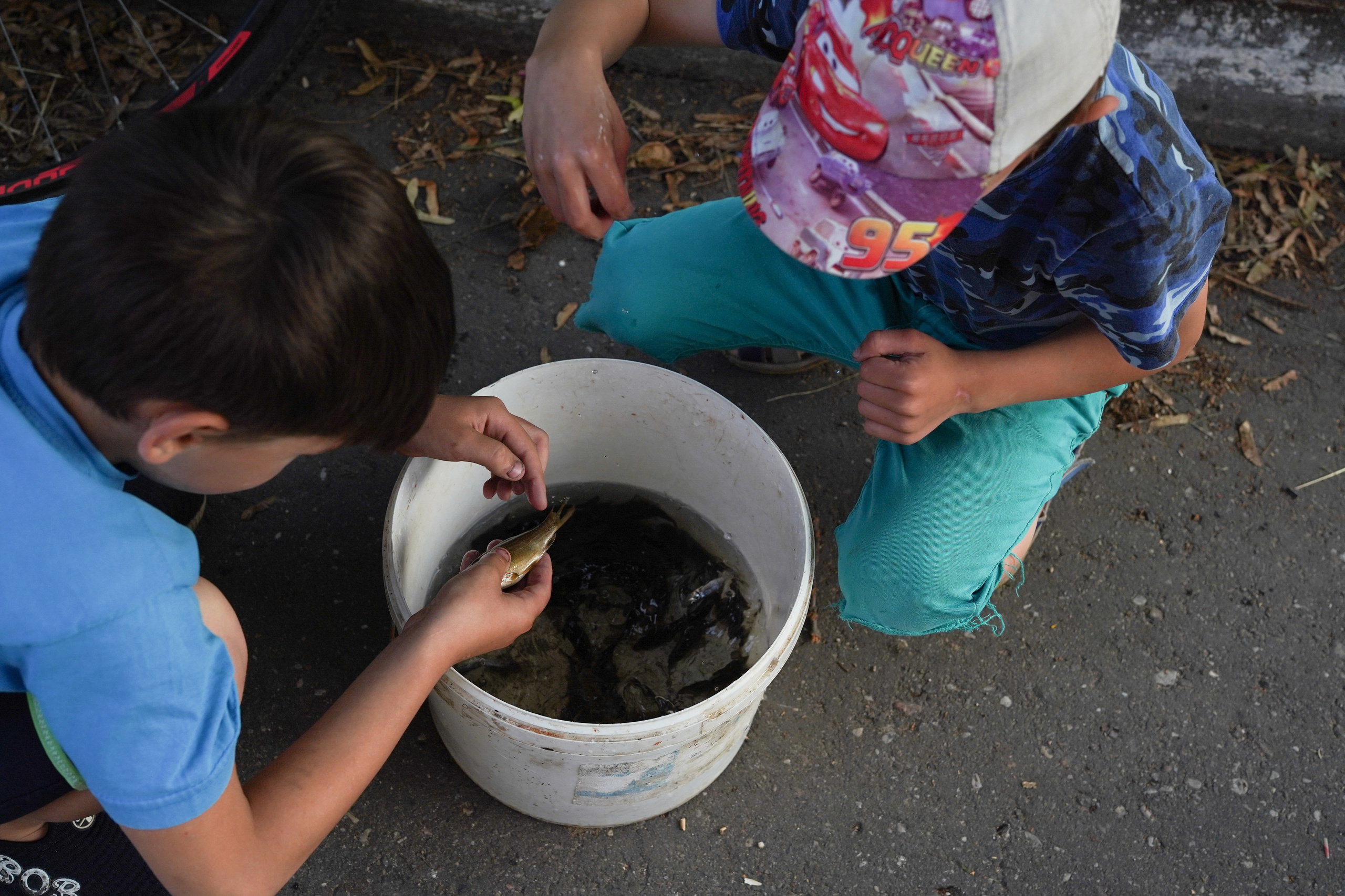 Игры во дворе. Фотограф новорожденных и детей первого года Евгения Михалькевич