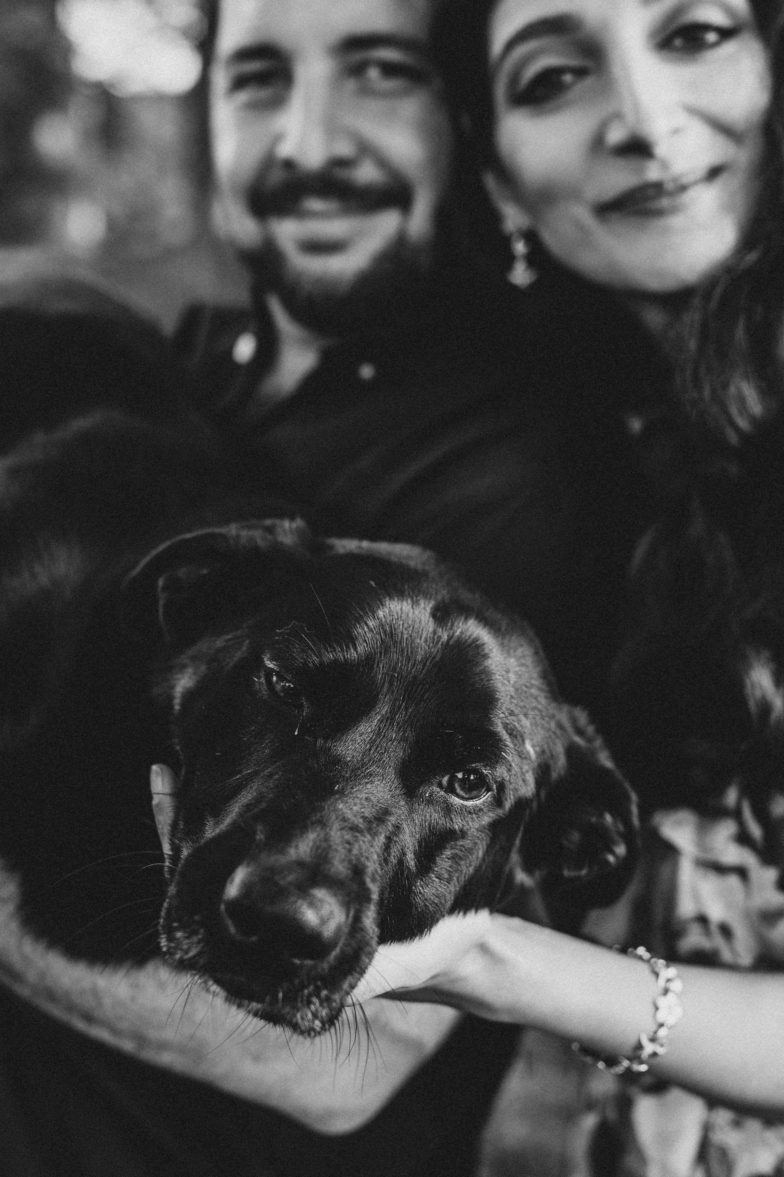 Анна, Себастьян и Рон. Фотограф новорожденных и детей первого года Евгения Михалькевич