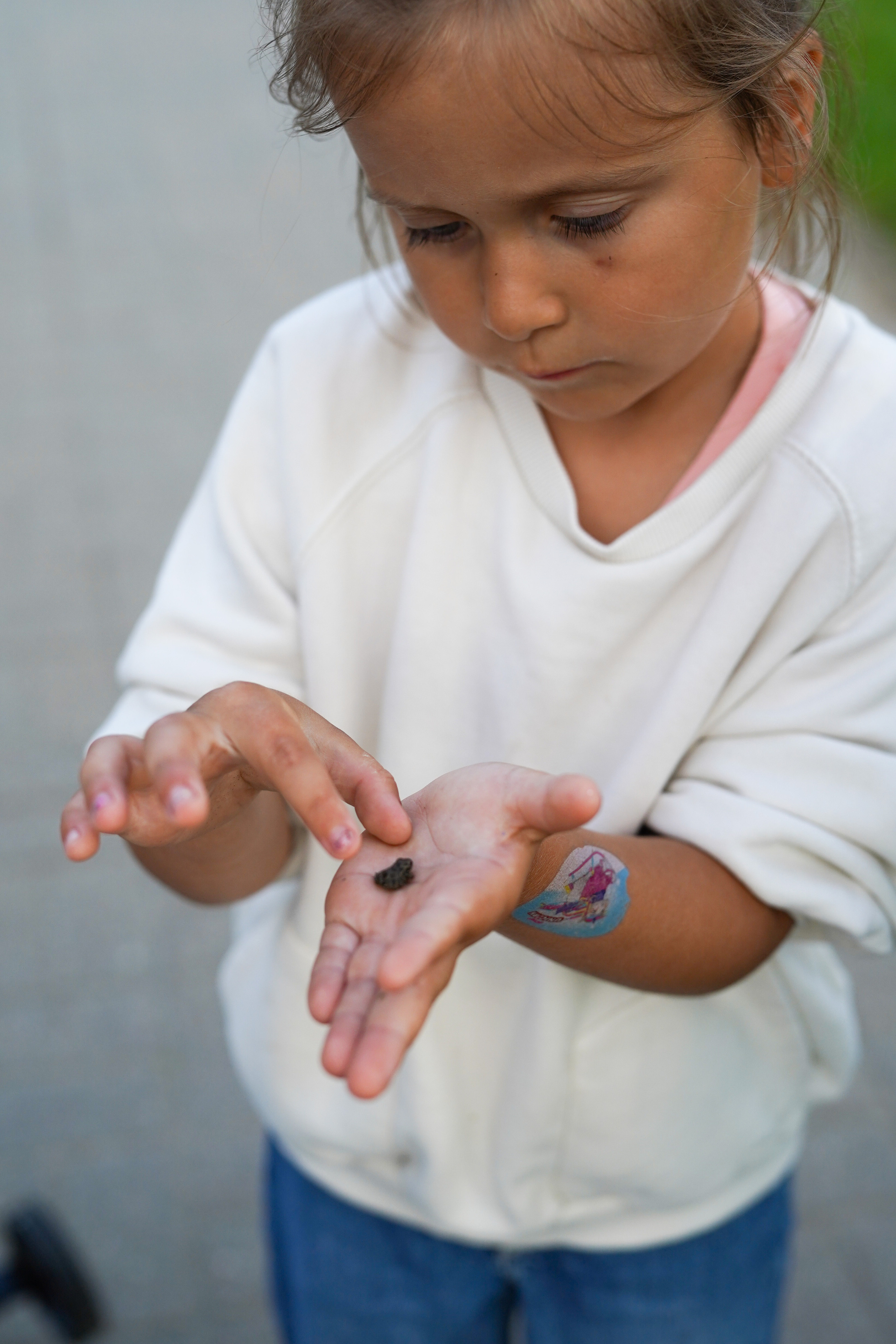 Игры во дворе. Фотограф новорожденных и детей первого года Евгения Михалькевич