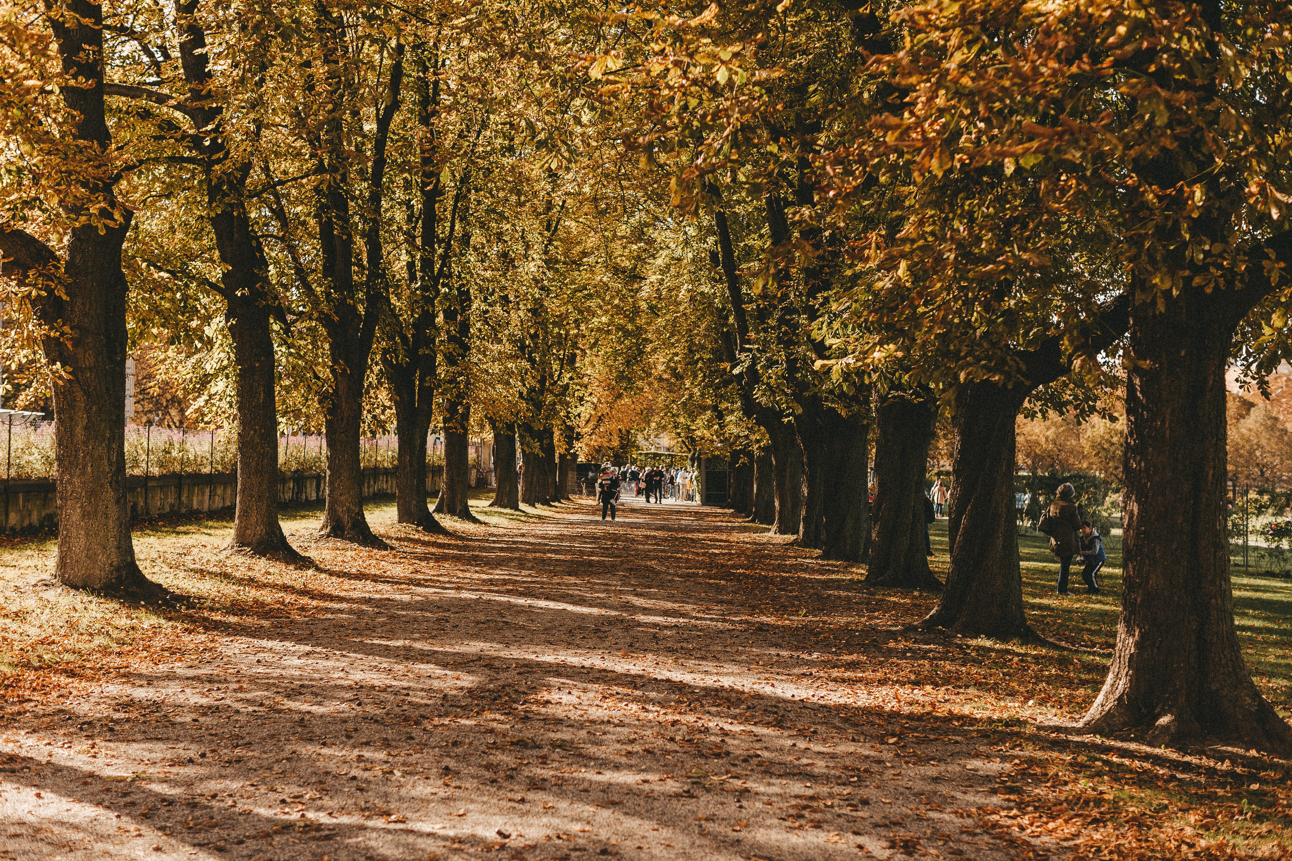 Фестиваль тыкв в Людвигсбурге. Фотограф в Германии — Мария Чистякова