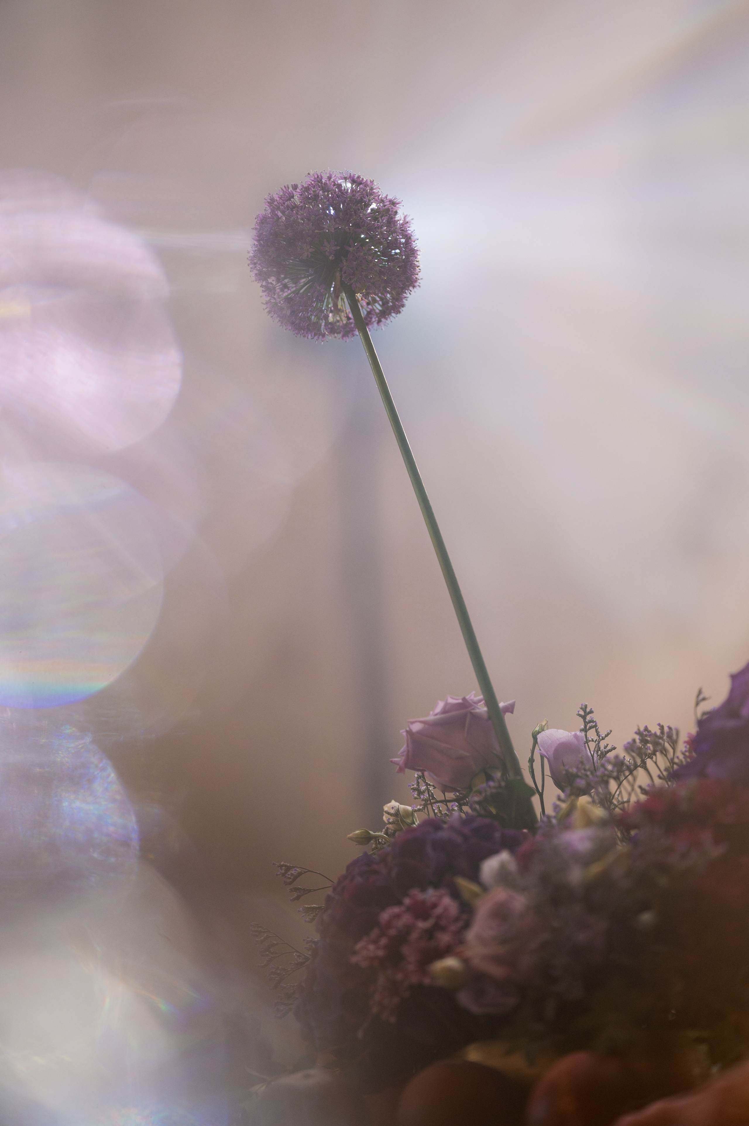 ANASTASIA & ILYA. Bakasphoto wedding and lifestyle photography Latvia and Worldwide