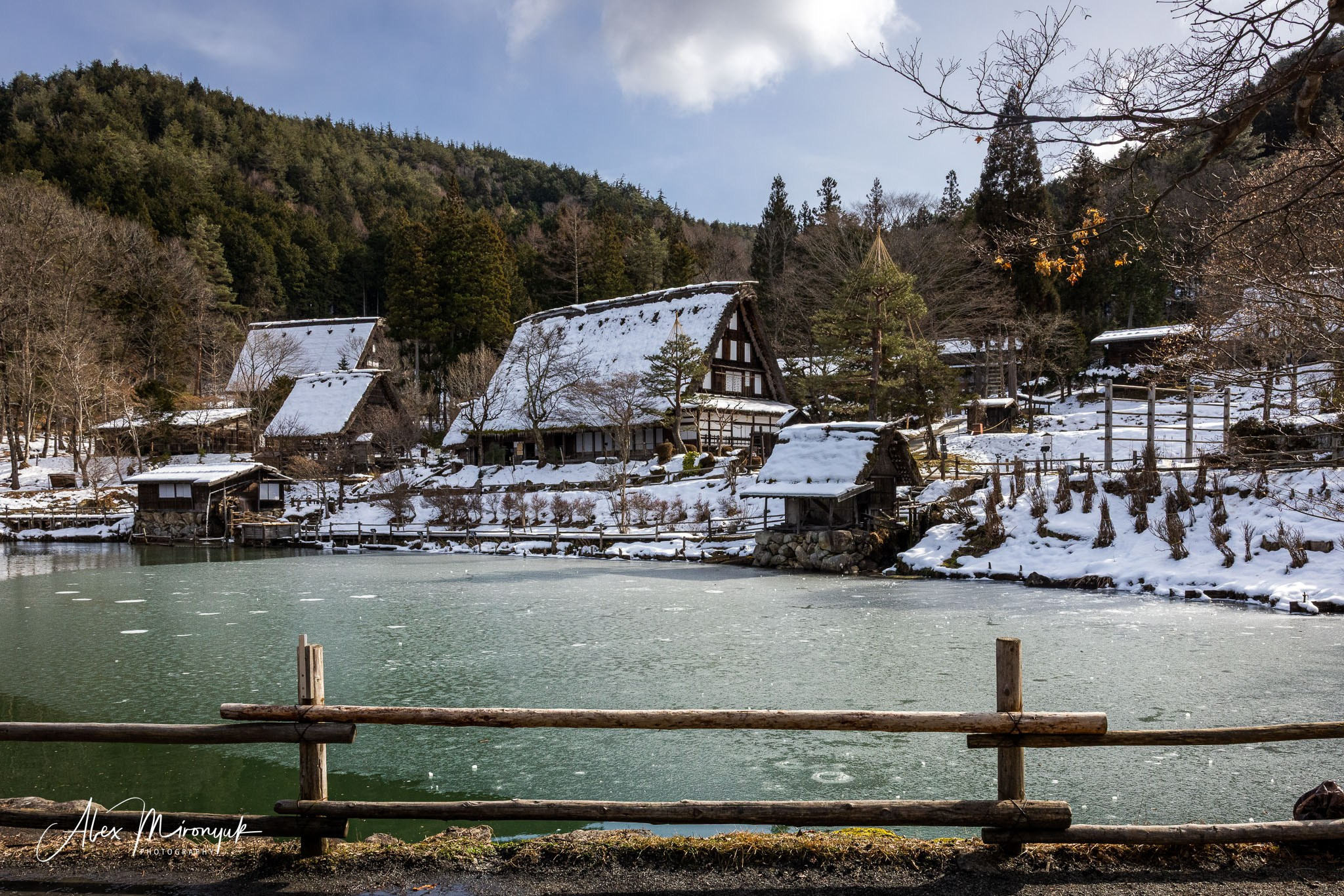 Winter Japan: Snow Monkeys, Castles & Timeless Villages. Pet, Senior, Landscape, portrait studio, photographer in Miami and Sou