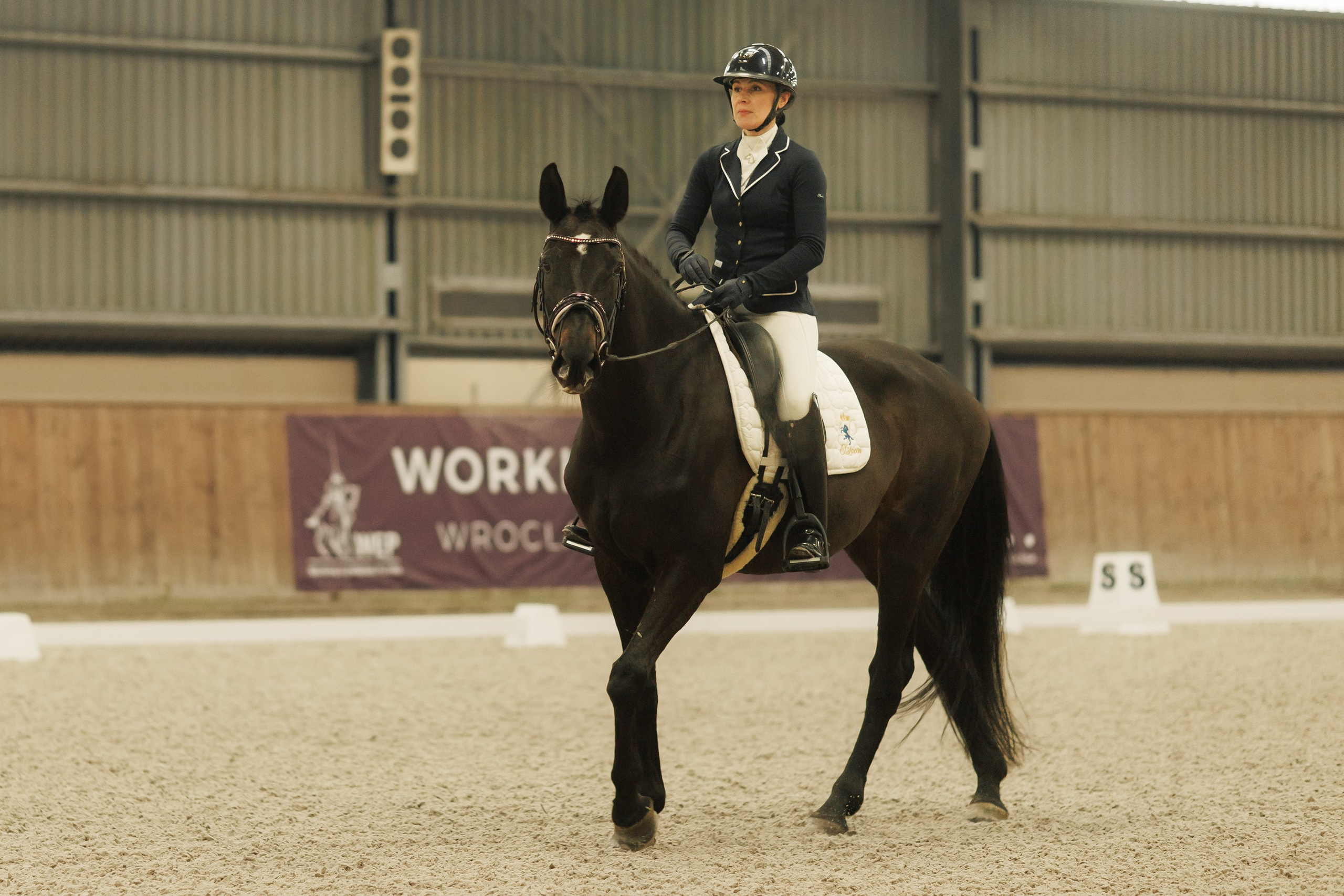 Partynice dressage \ feb'25. Kaja | fotograf we Wrocławiu | ludzie i psy