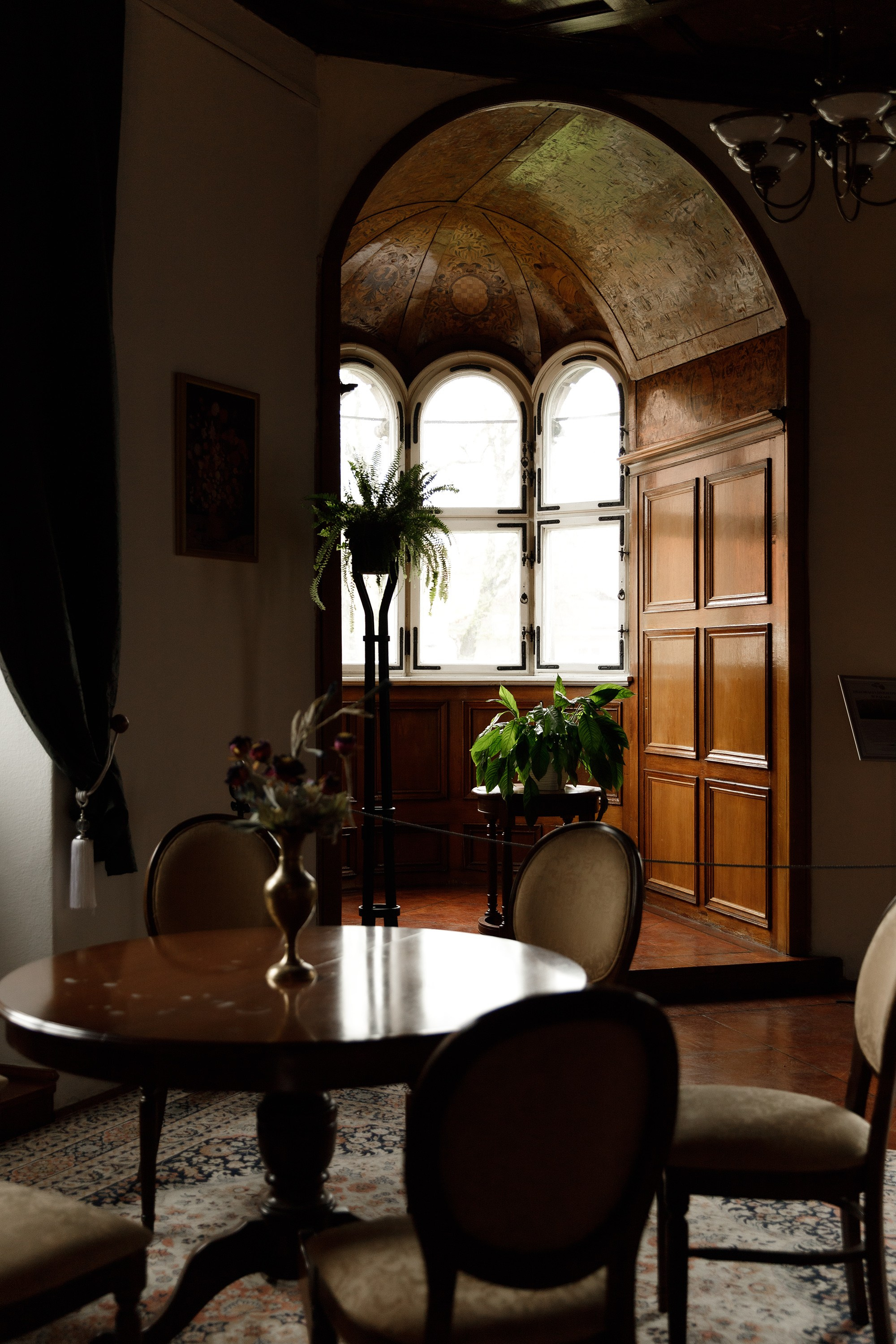 Oleśnica castle. Kaja | fotograf psów we Wrocławiu