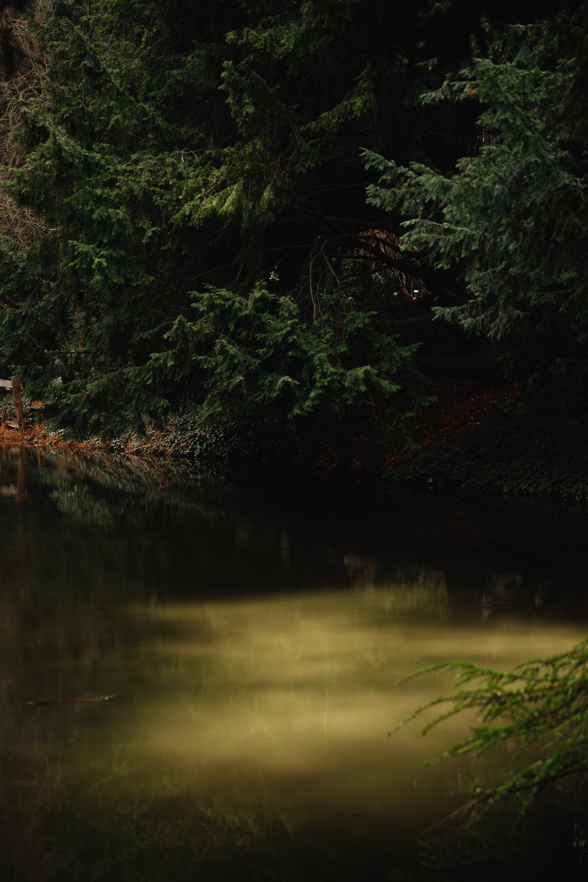 Botanical garden in Wroclaw. Kaja | fotograf we Wrocławiu | ludzie i psy