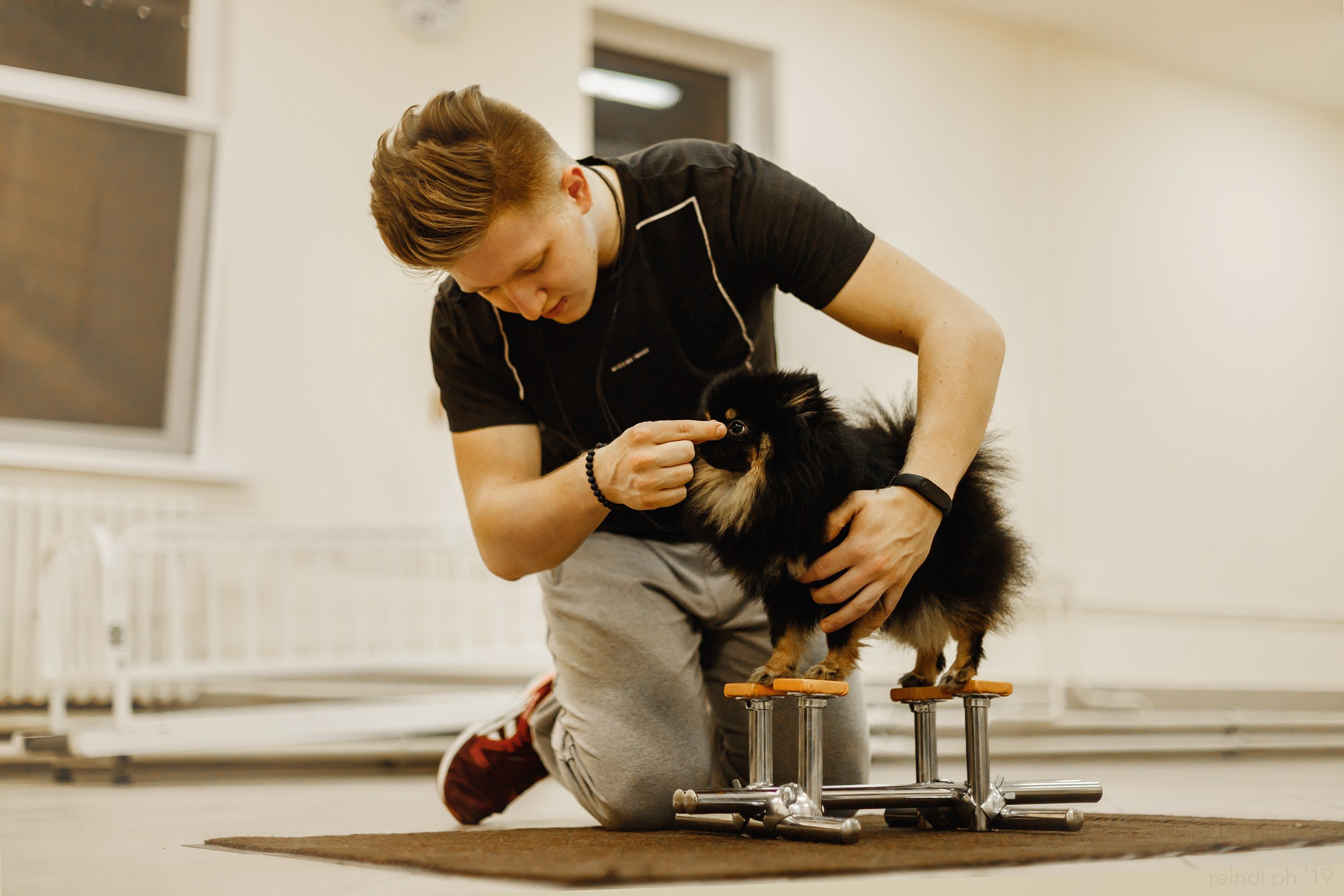 Dog handling hall. Kaja | fotograf we Wrocławiu | ludzie i psy