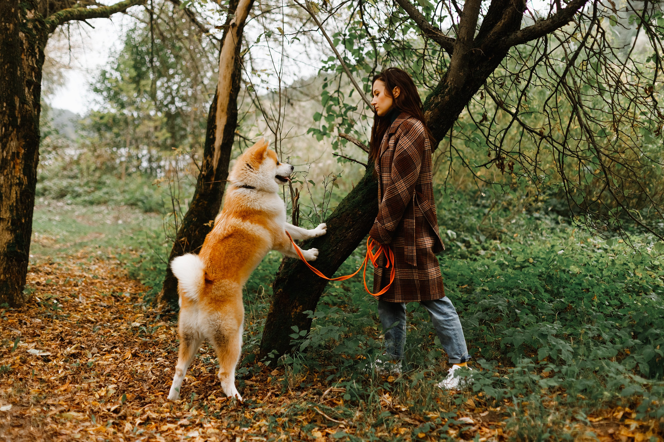 Maria & Kenji. Kaja | fotograf we Wrocławiu | ludzie i psy