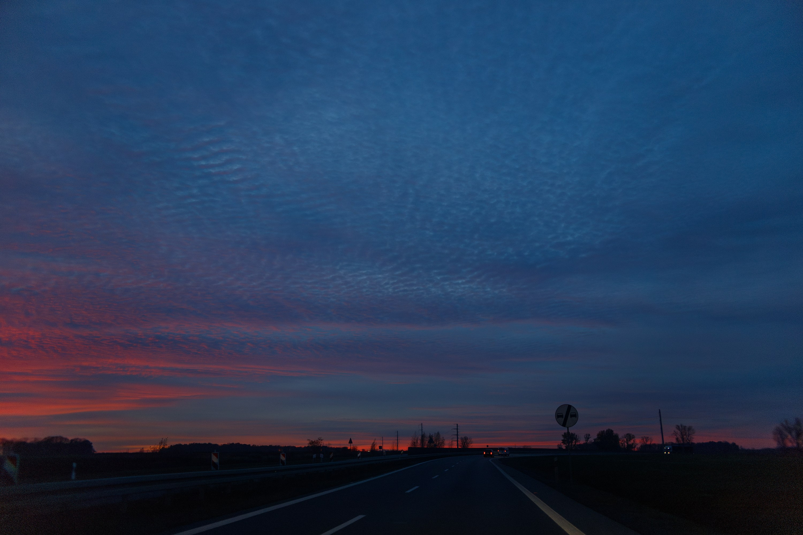 Sowie góry. Kaja | fotograf we Wrocławiu | ludzie i psy