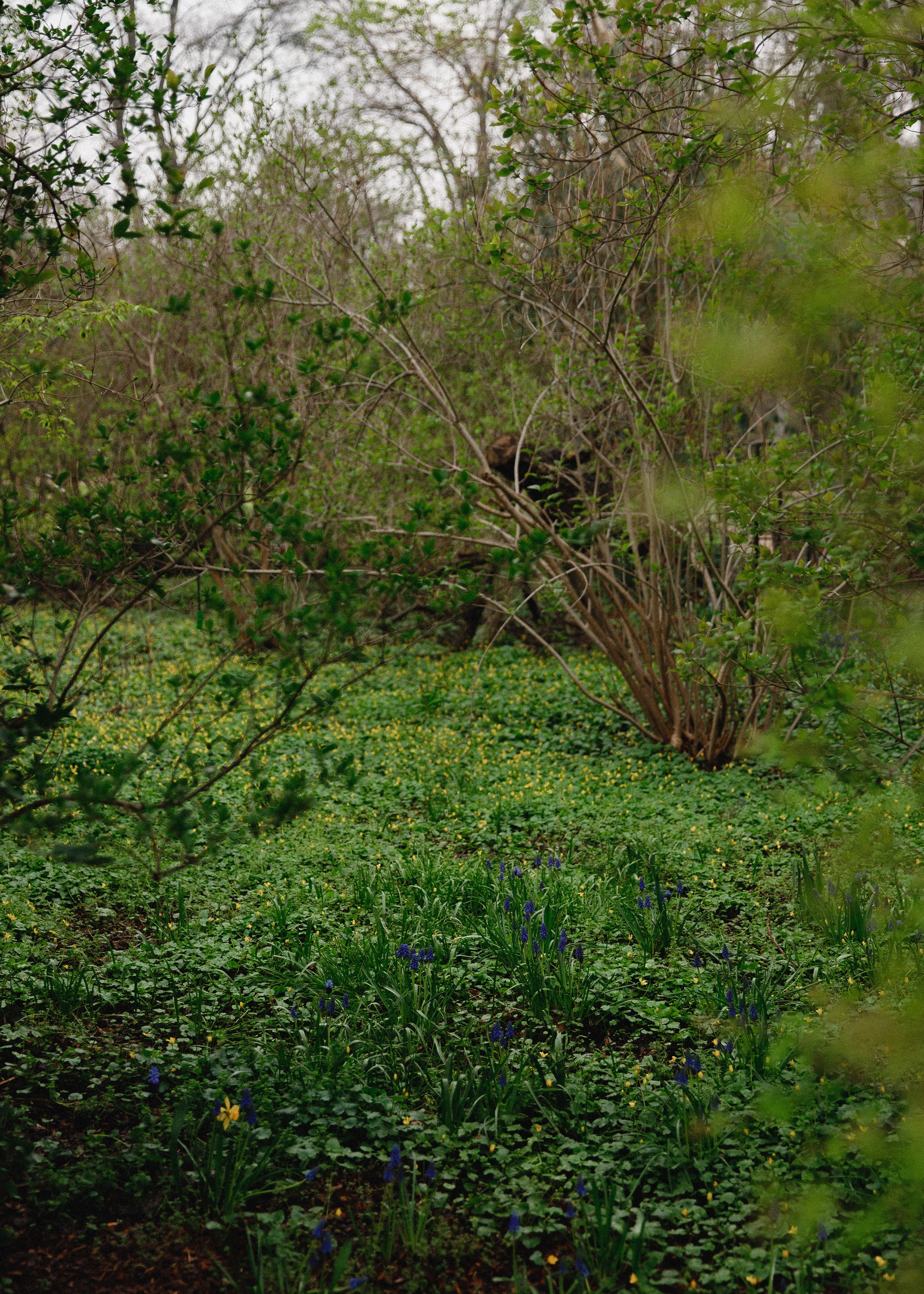Botanical garden in Wroclaw. Kaja | fotograf we Wrocławiu | ludzie i psy
