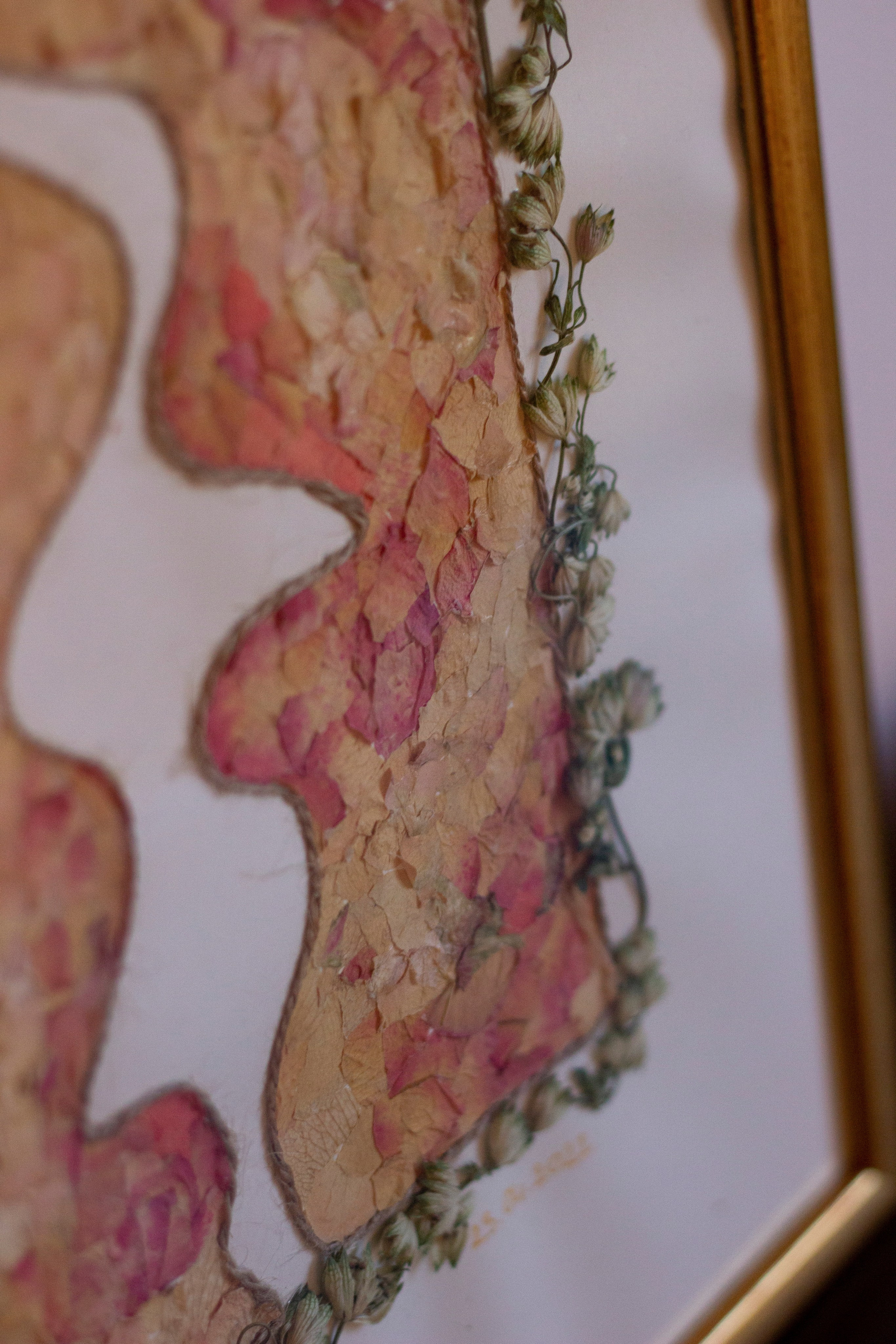 Vjenčani radovi. Herbarij studio