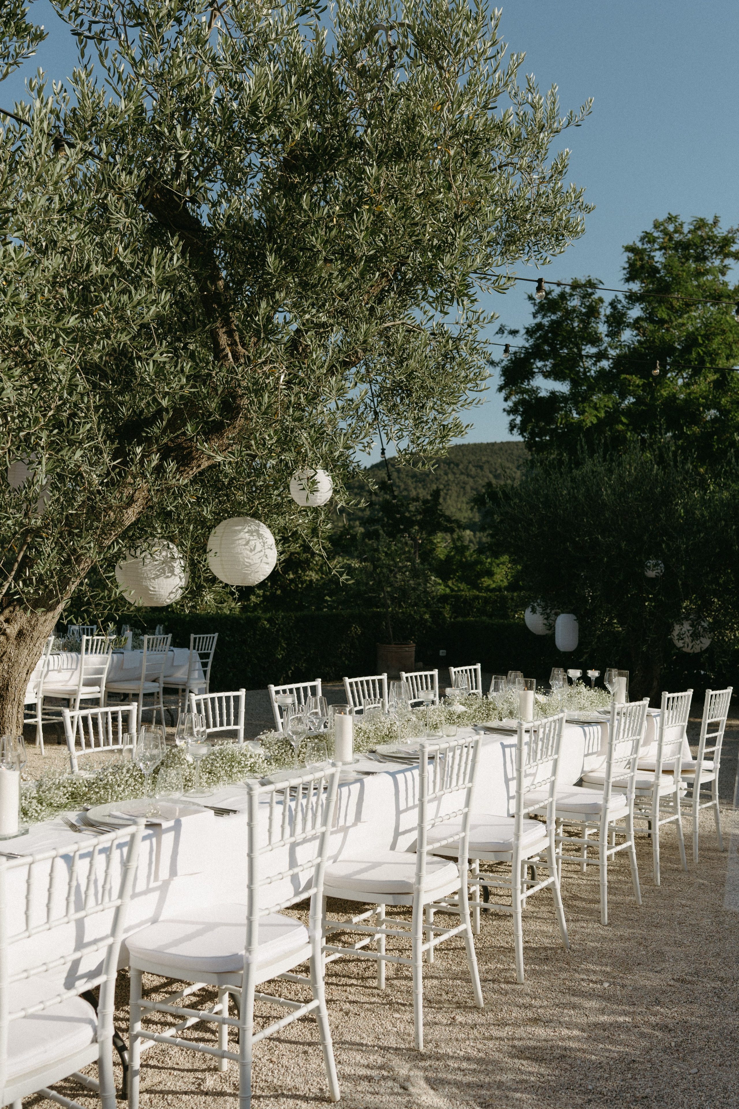 Sofia&Falk. Весільний фотограф Вікторія Саврук