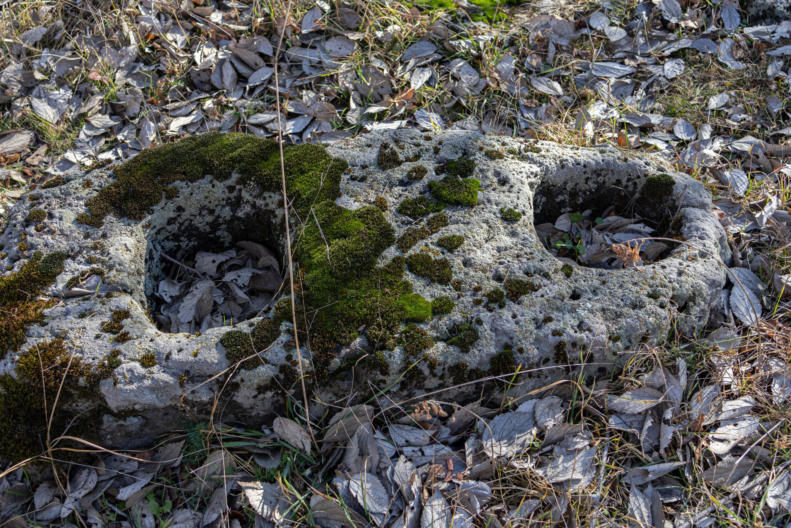 სამშვილდე. FramefreeMan