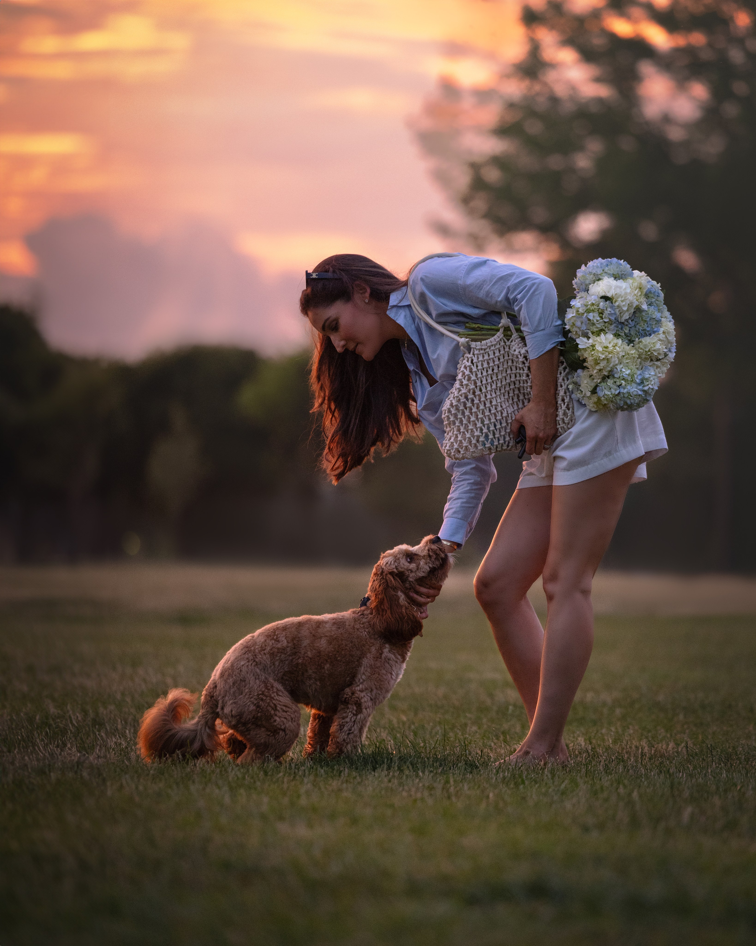 Howie & Callie. Pet Photographer Viktoriya Aleshenko