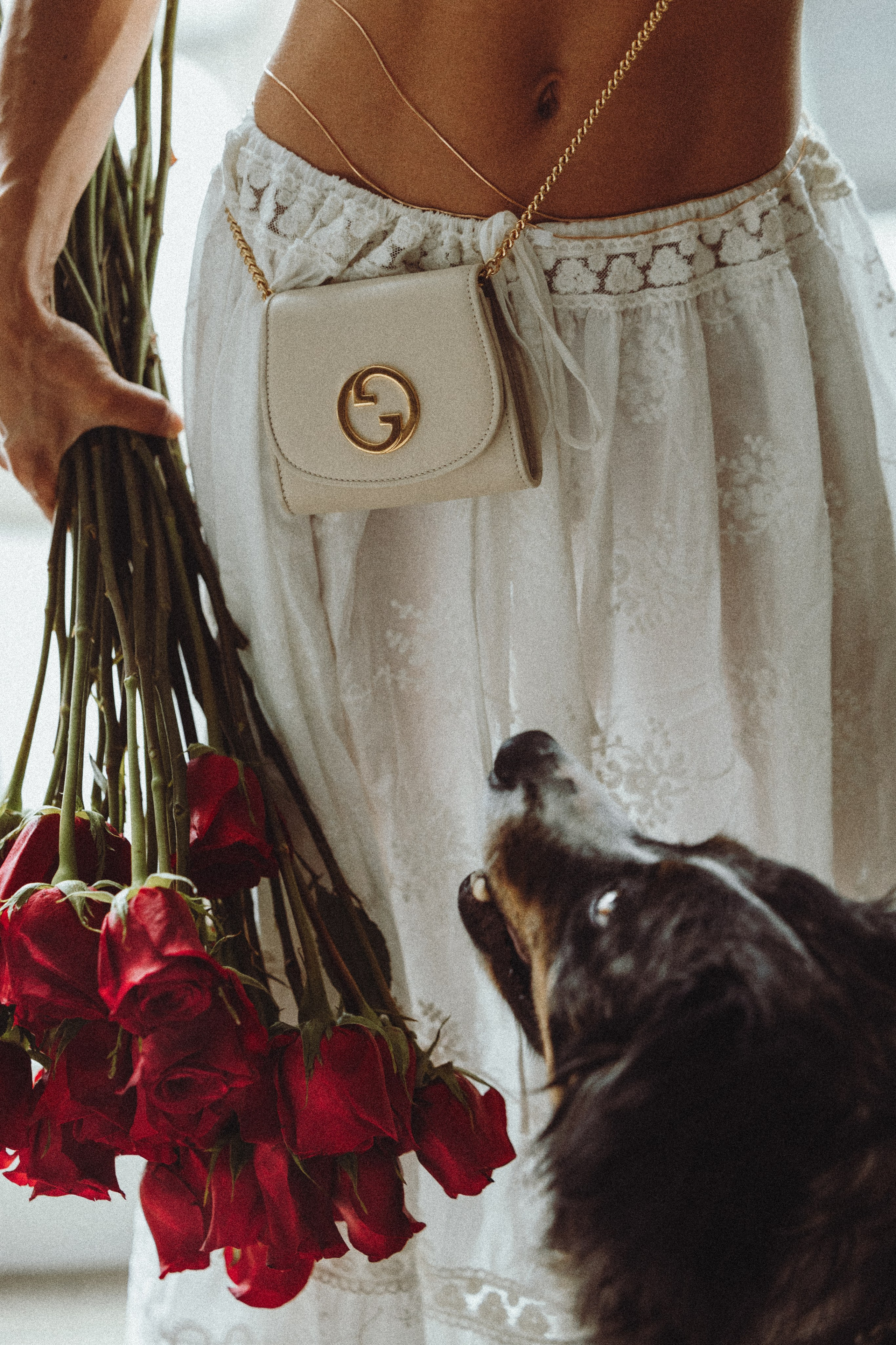 Aspen & Viktoriya. Pet Photographer Viktoriya Aleshenko