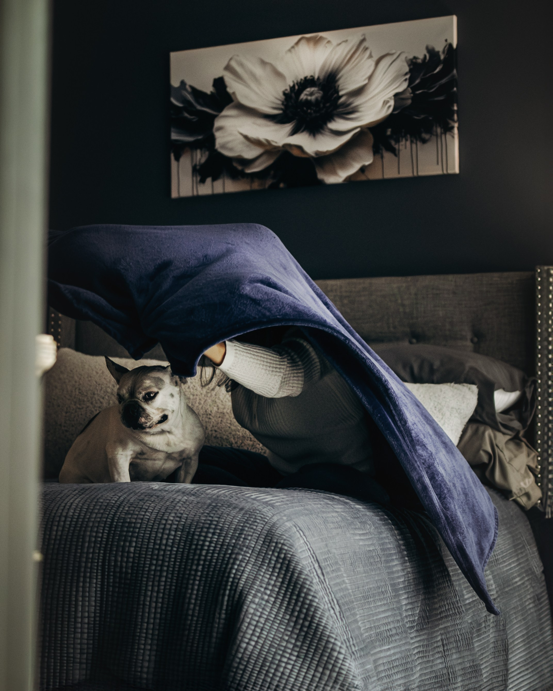 Pearl & Melanie. Pet Photographer Viktoriya Aleshenko