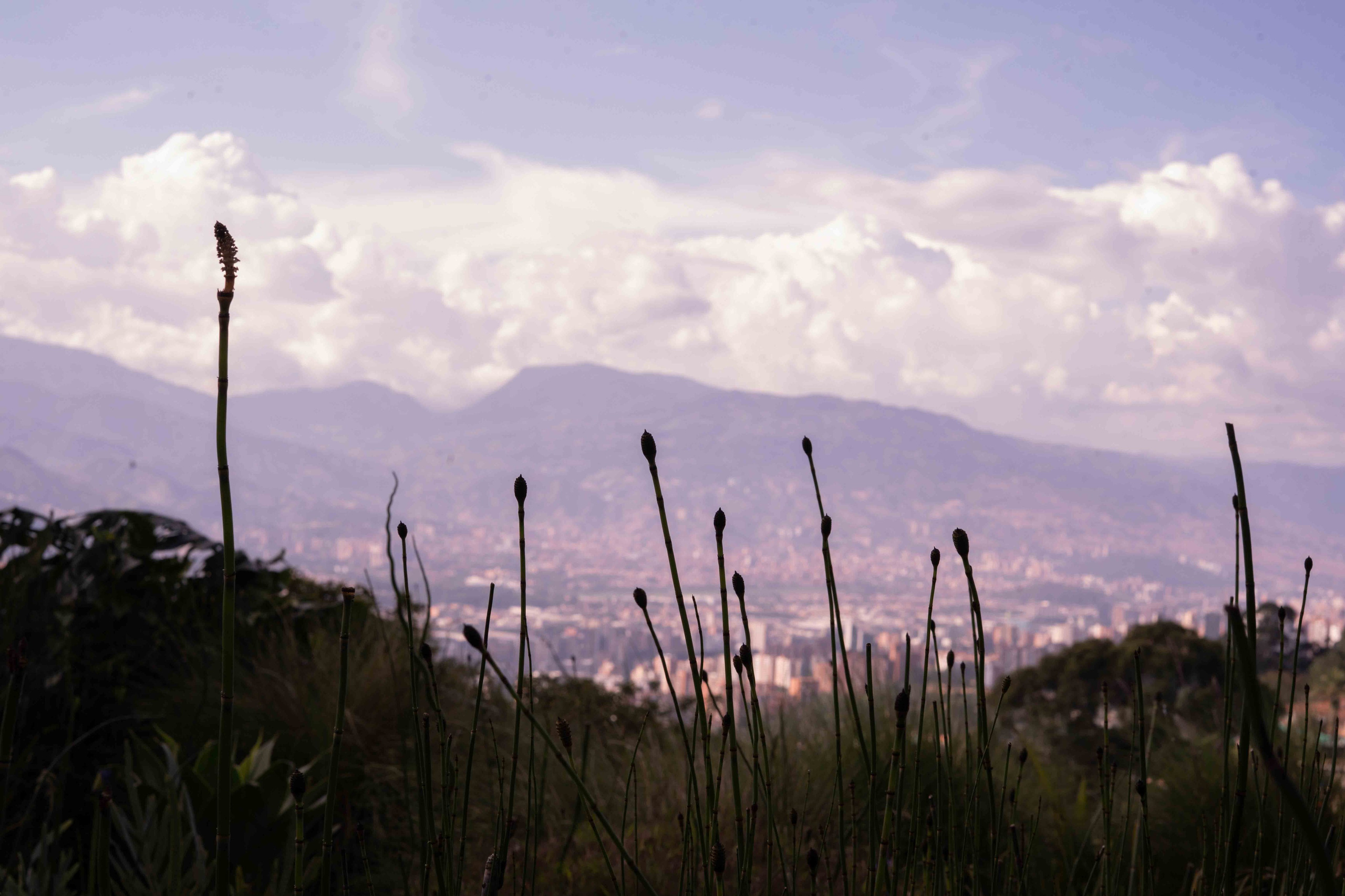 Our weddings and couples. Film and photography for weddings and brands in Barcelona