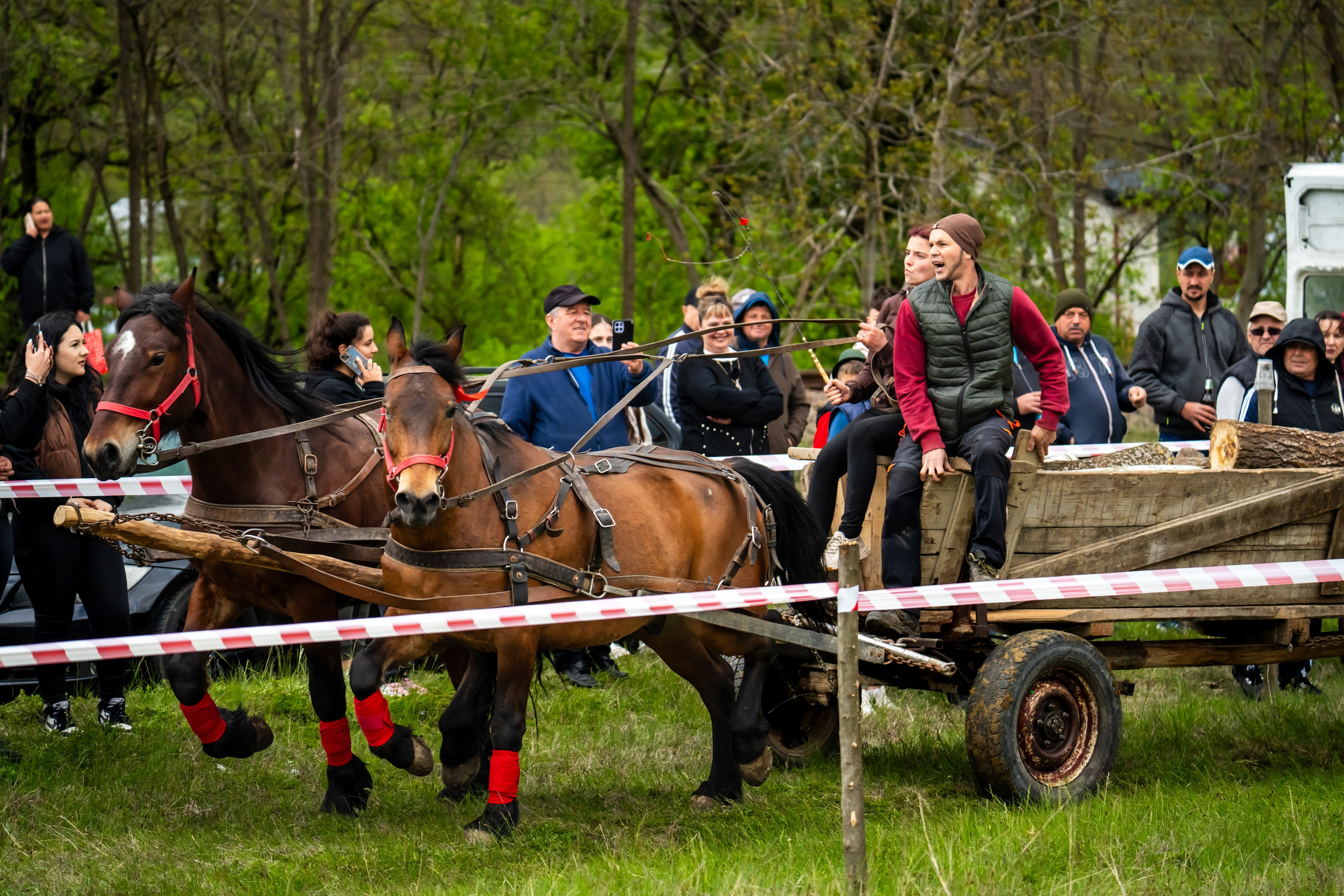 Concurs Ecvestru Vărbilău ediția a 4-a. Mihai Alexandra Events