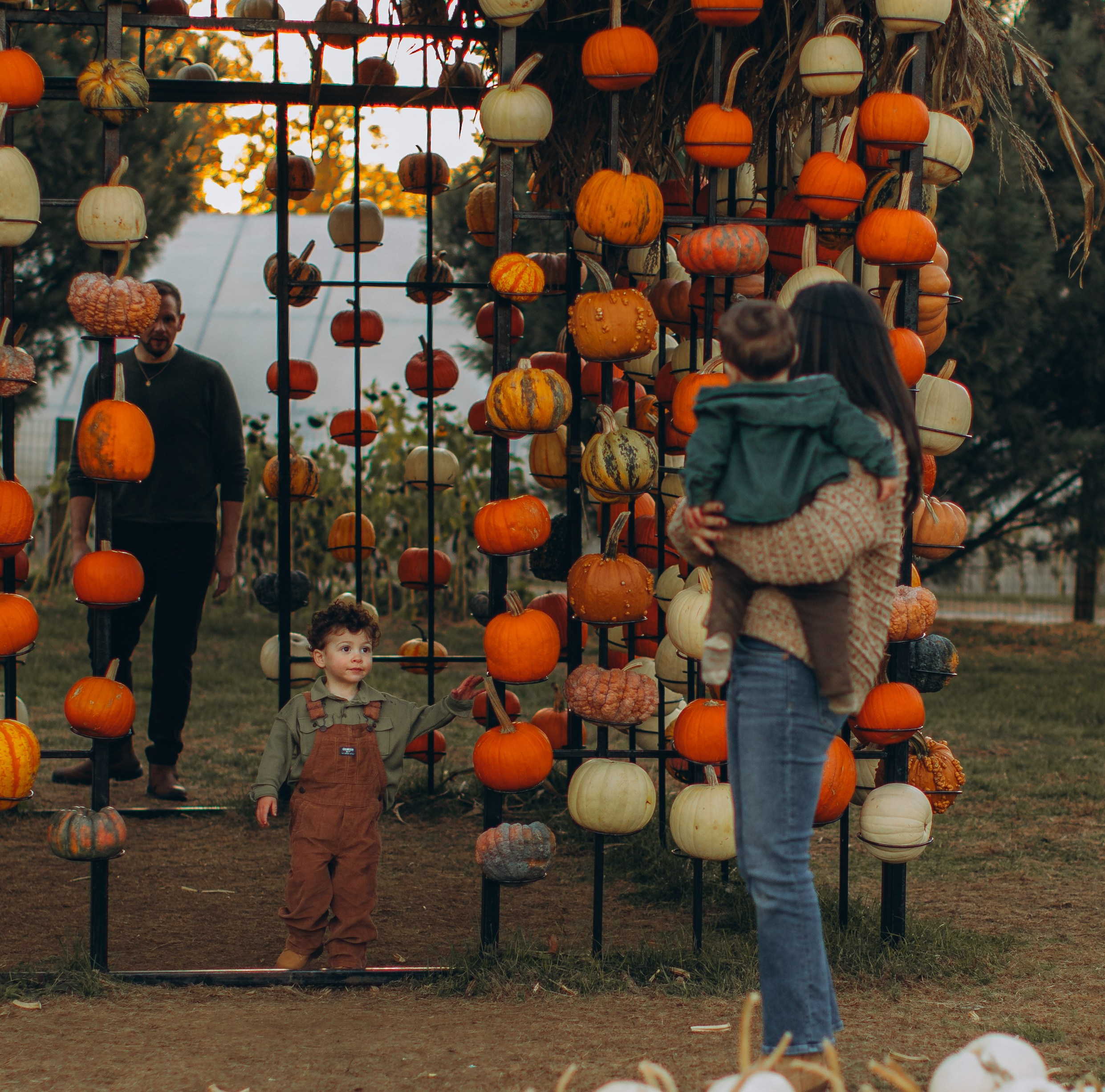 Victoria, Nick, Grayson and Noah at Harvest Moon Farm. Love Through Photo