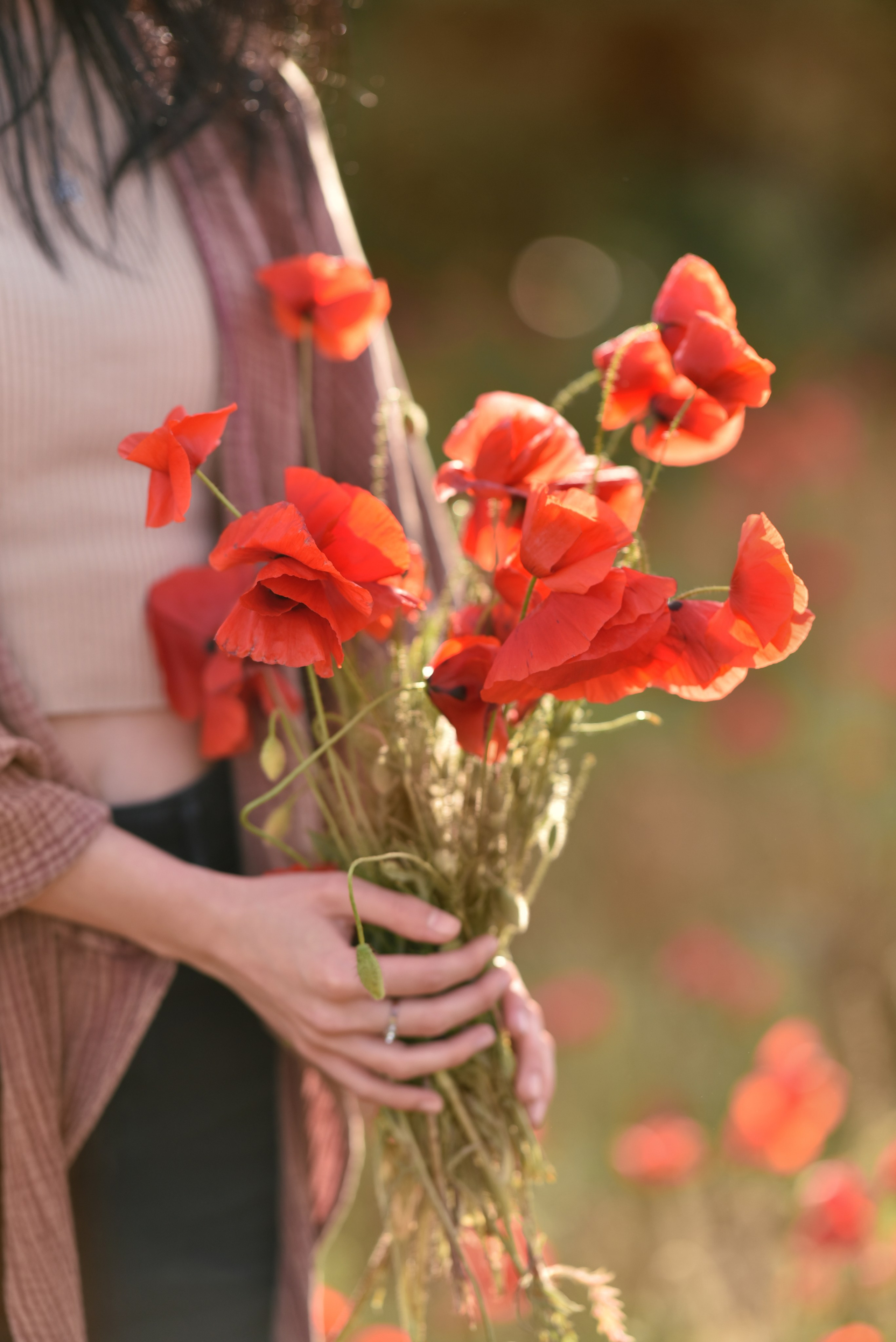 Séance photo dans un champ de coquelicots BEZIERS. Photographe Professionnel à Béziers et Montpellier – Mariages, Portraits et Vidéos Aériennes
