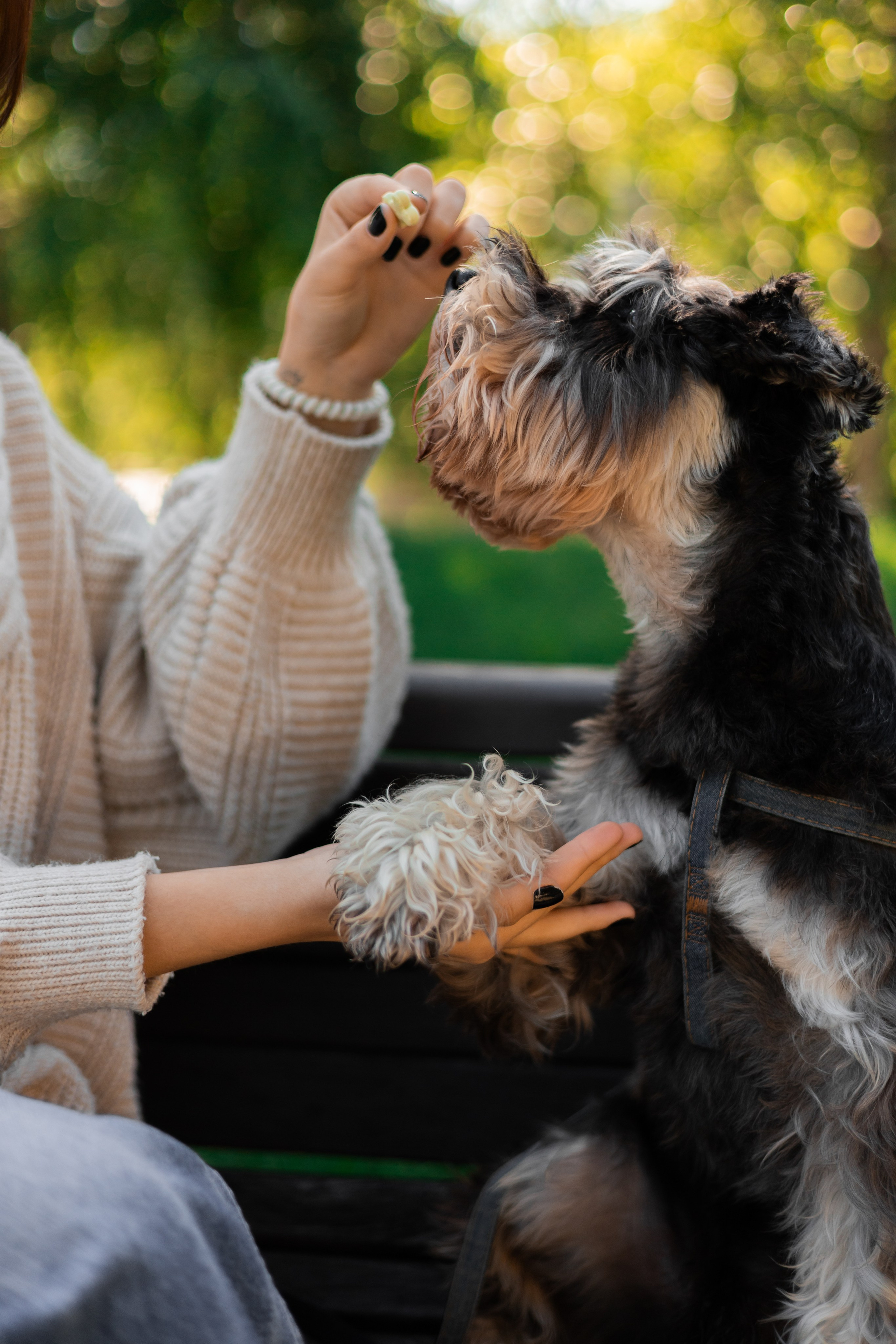 Алёна и Джерри. Фотограф-анималист | Белград
