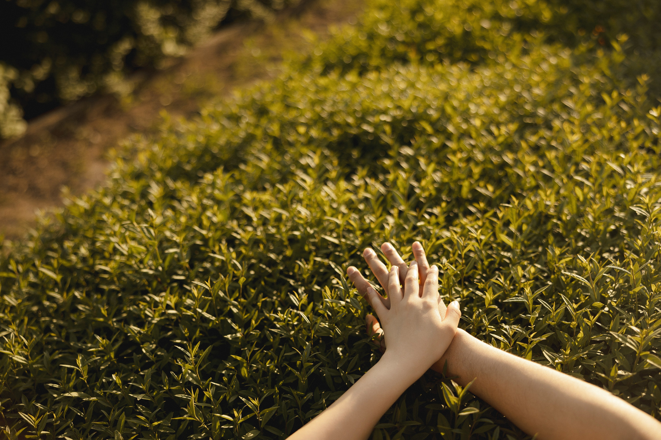 Медер и Айжан. Азимжан Нуритдинходжаев — свадебный фотограф