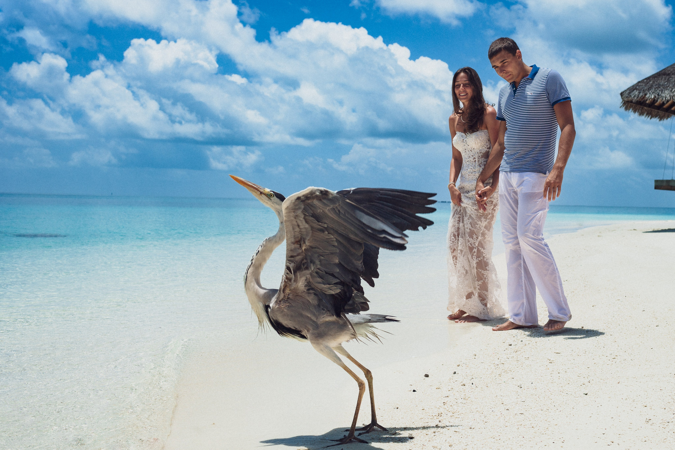 Фотограф в Ирландии Дублин Медовый месяц топ свадебных фотографов красивые фотки  мира 