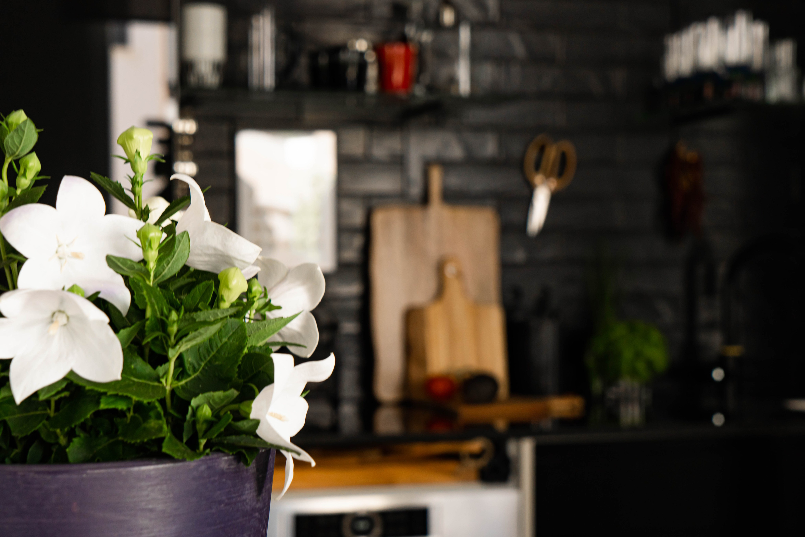 I&M GROUP. Baby Beast