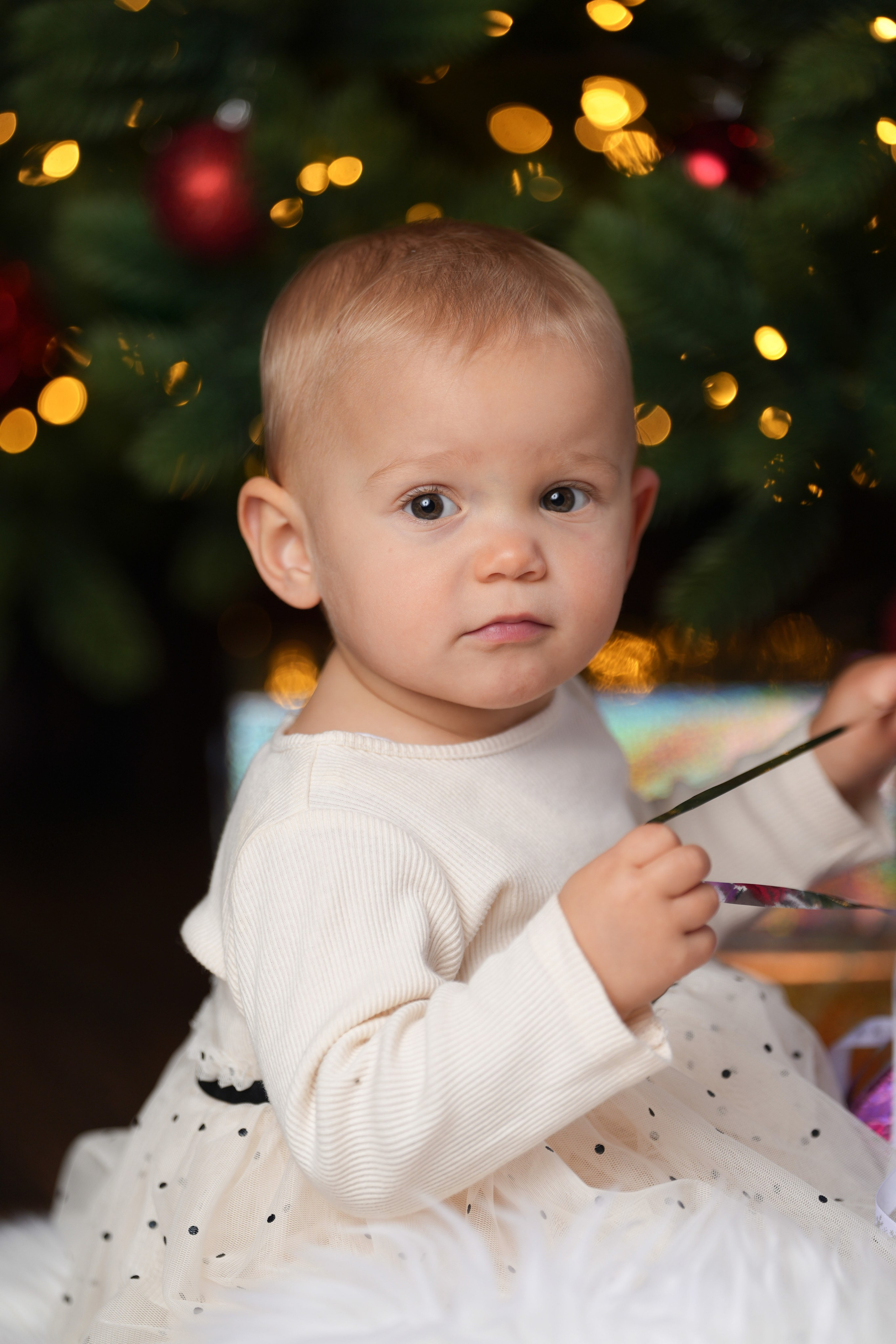 Weihnachten. Www.alberti-fotograf.de