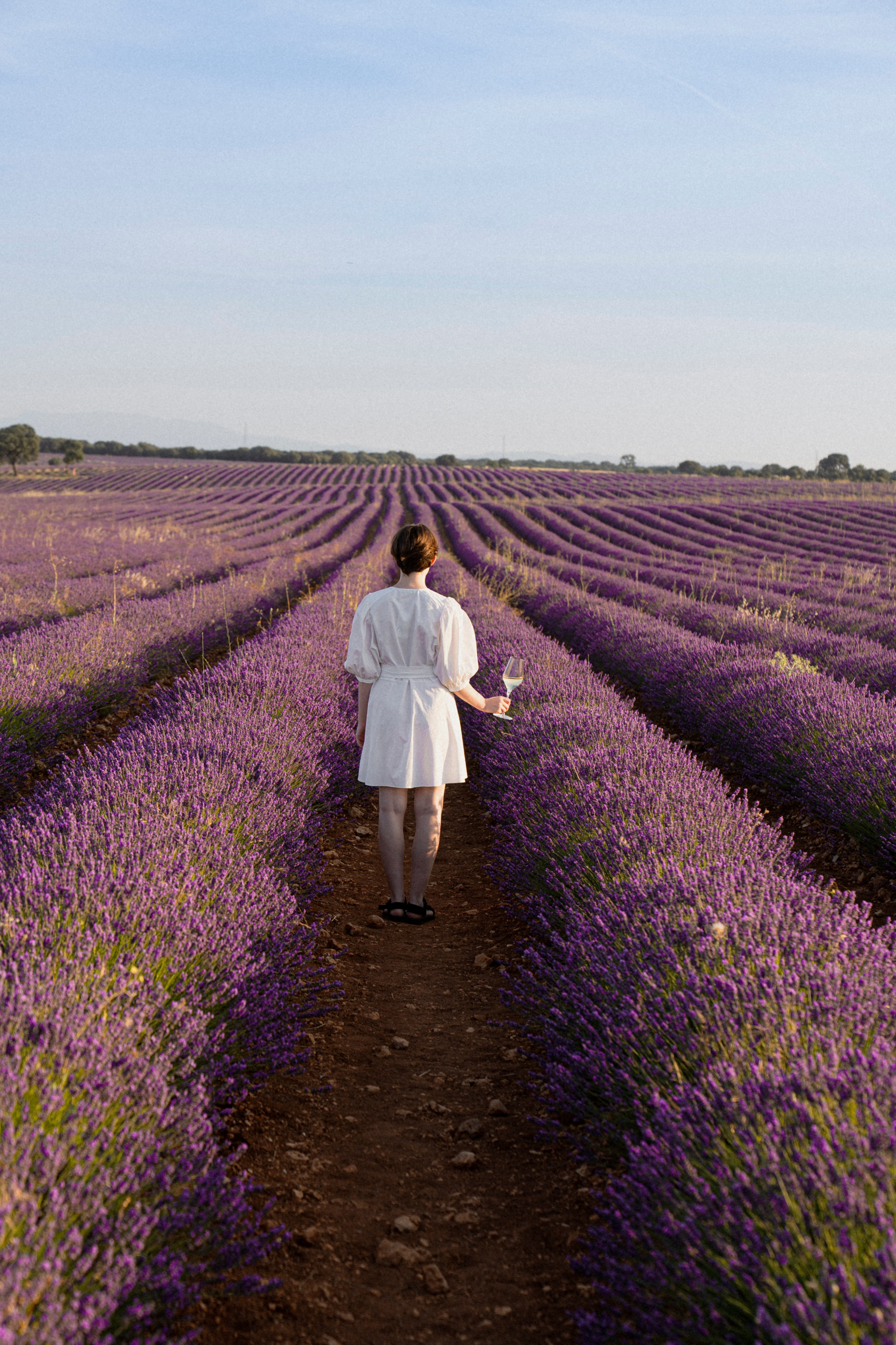 Испанский Прованс (рассвет). ...........