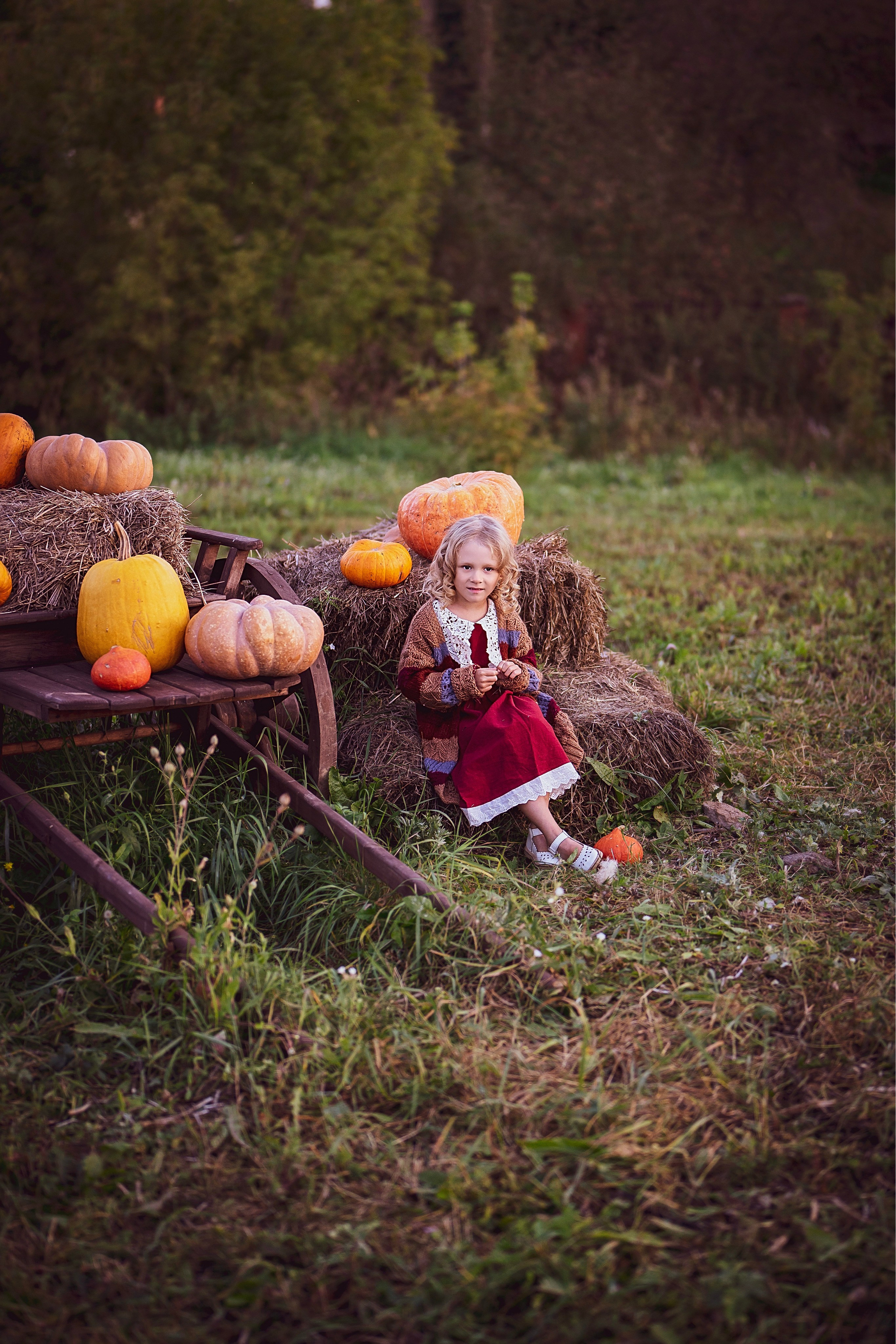 Осень в ладошках. Ваш фотограф Tetiana Kolos, найду самый удачный ракурс и словлю момент