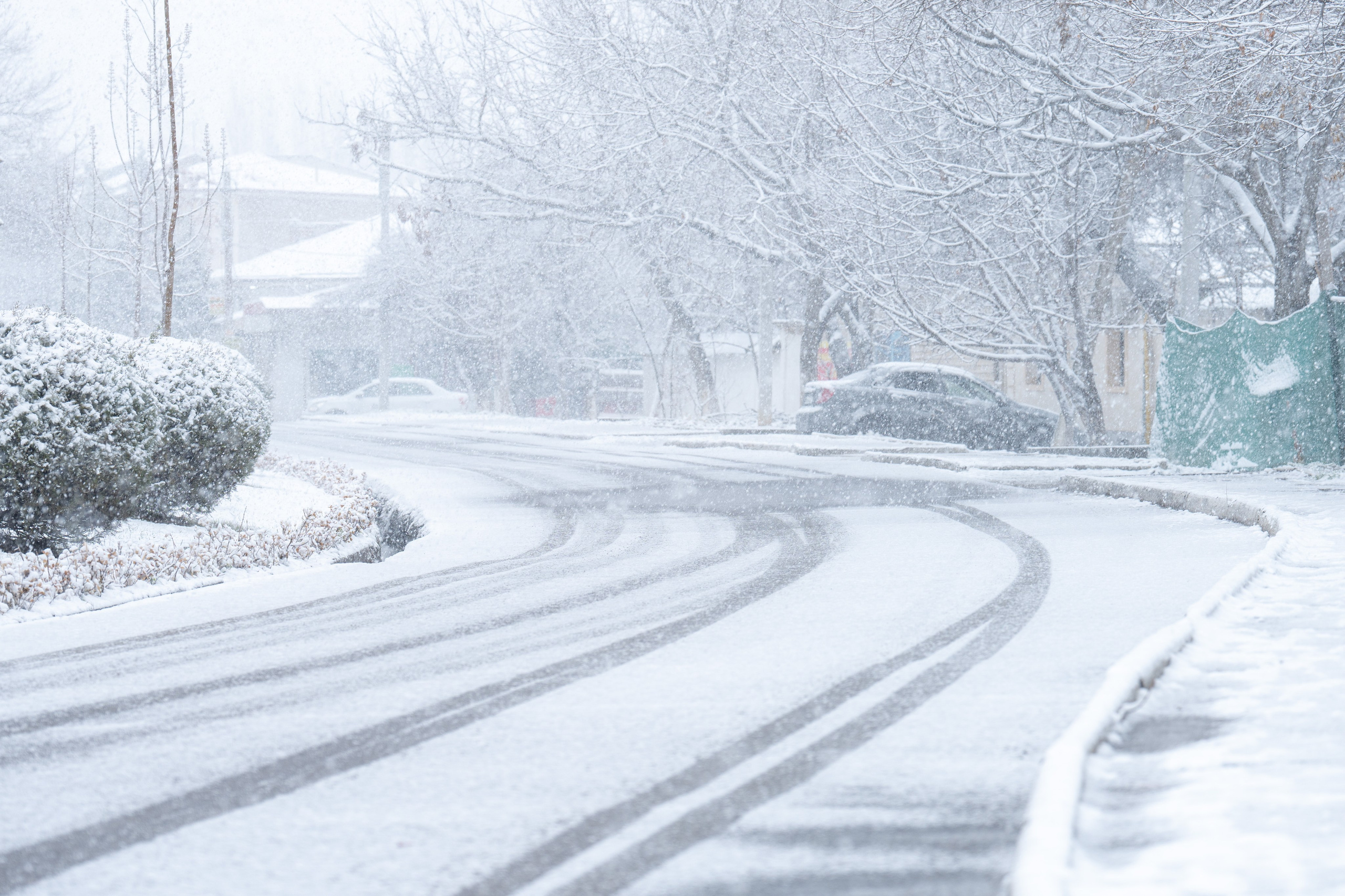 Первый снег в 2024 году. Георгий Намазов | Фотограф в Ташкенте