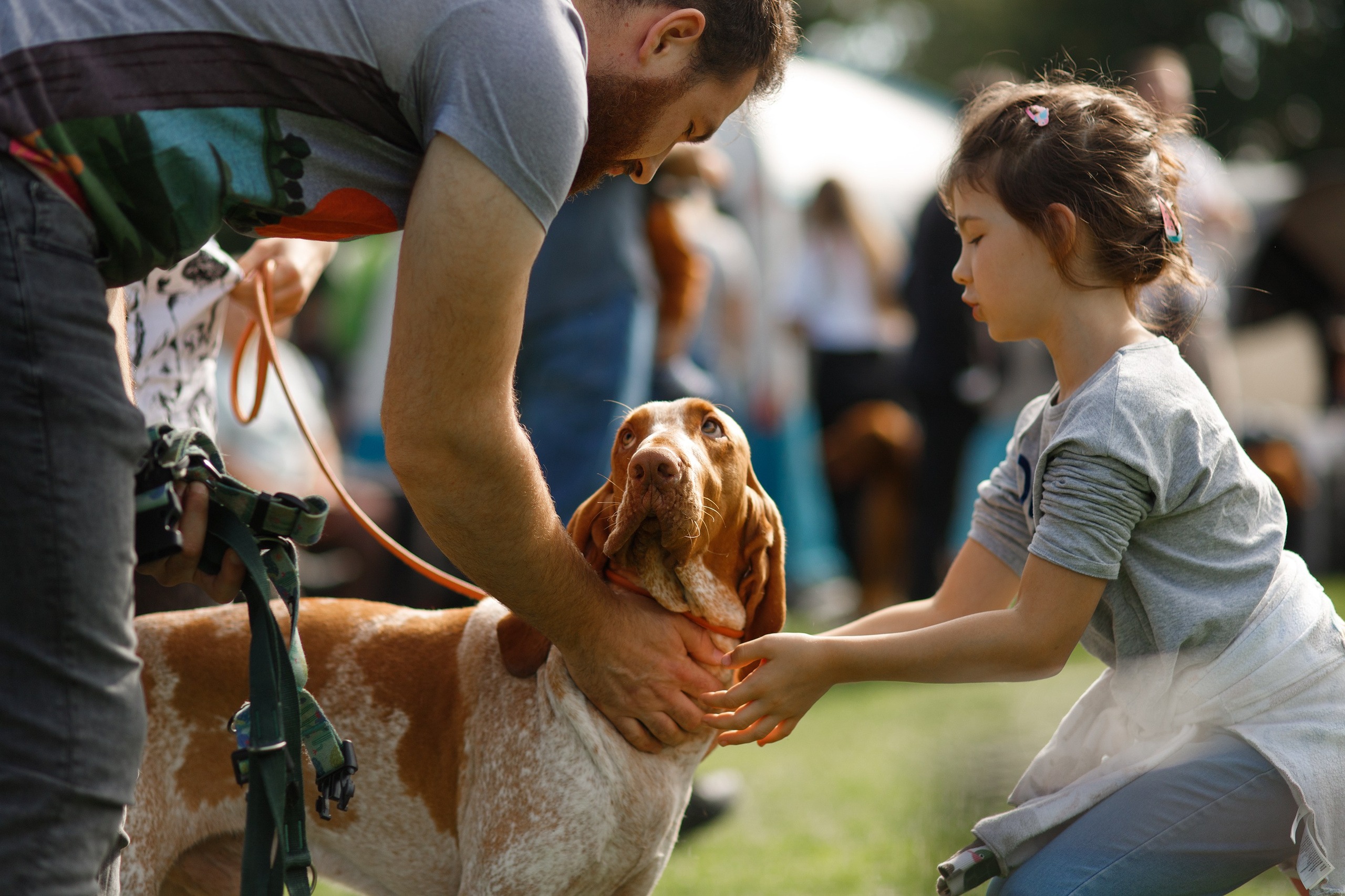 Dog shows | the best ones. Kaja | fotograf psów we Wrocławiu