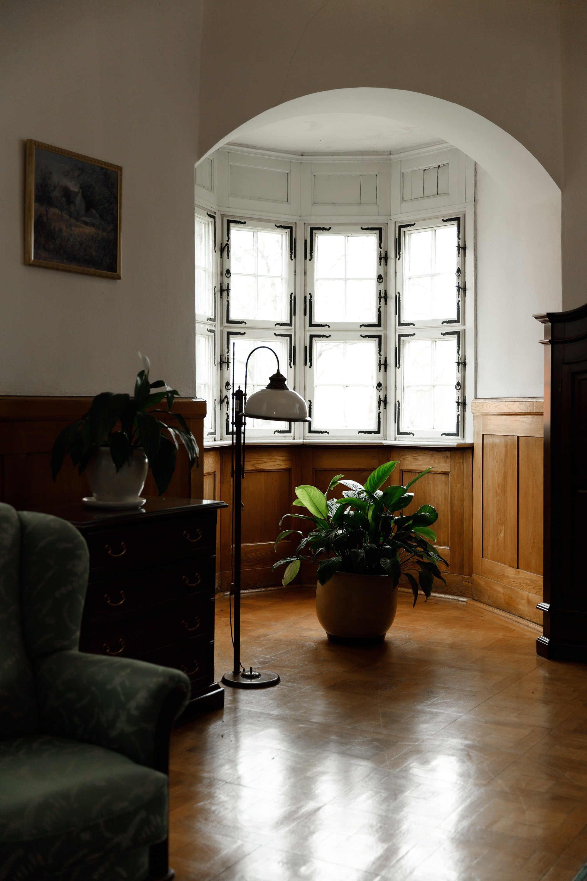 Oleśnica castle. Kaja | fotograf psów we Wrocławiu