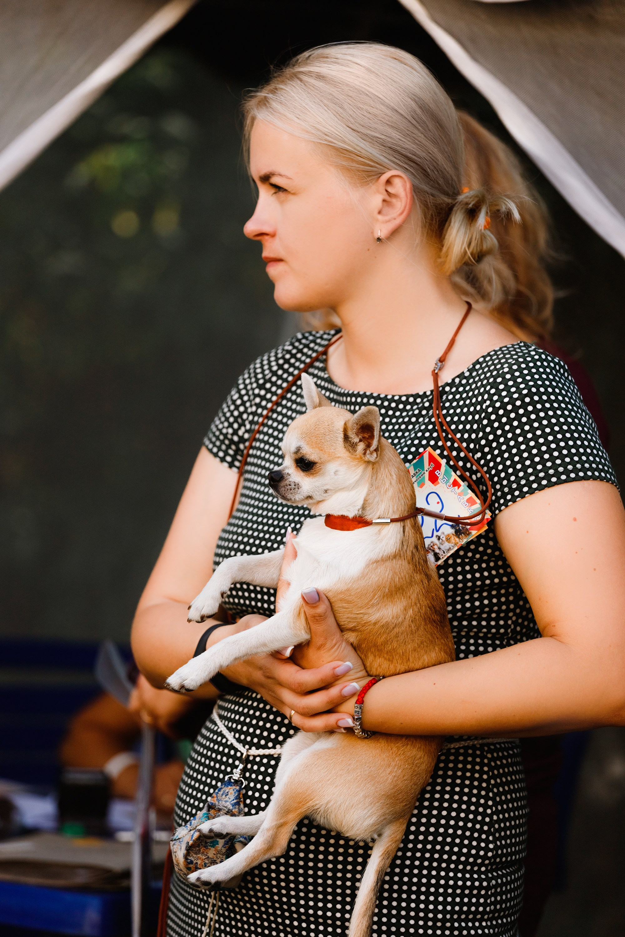 «Argus» dog show in Brest. Kaja | fotograf we Wrocławiu | ludzie i psy