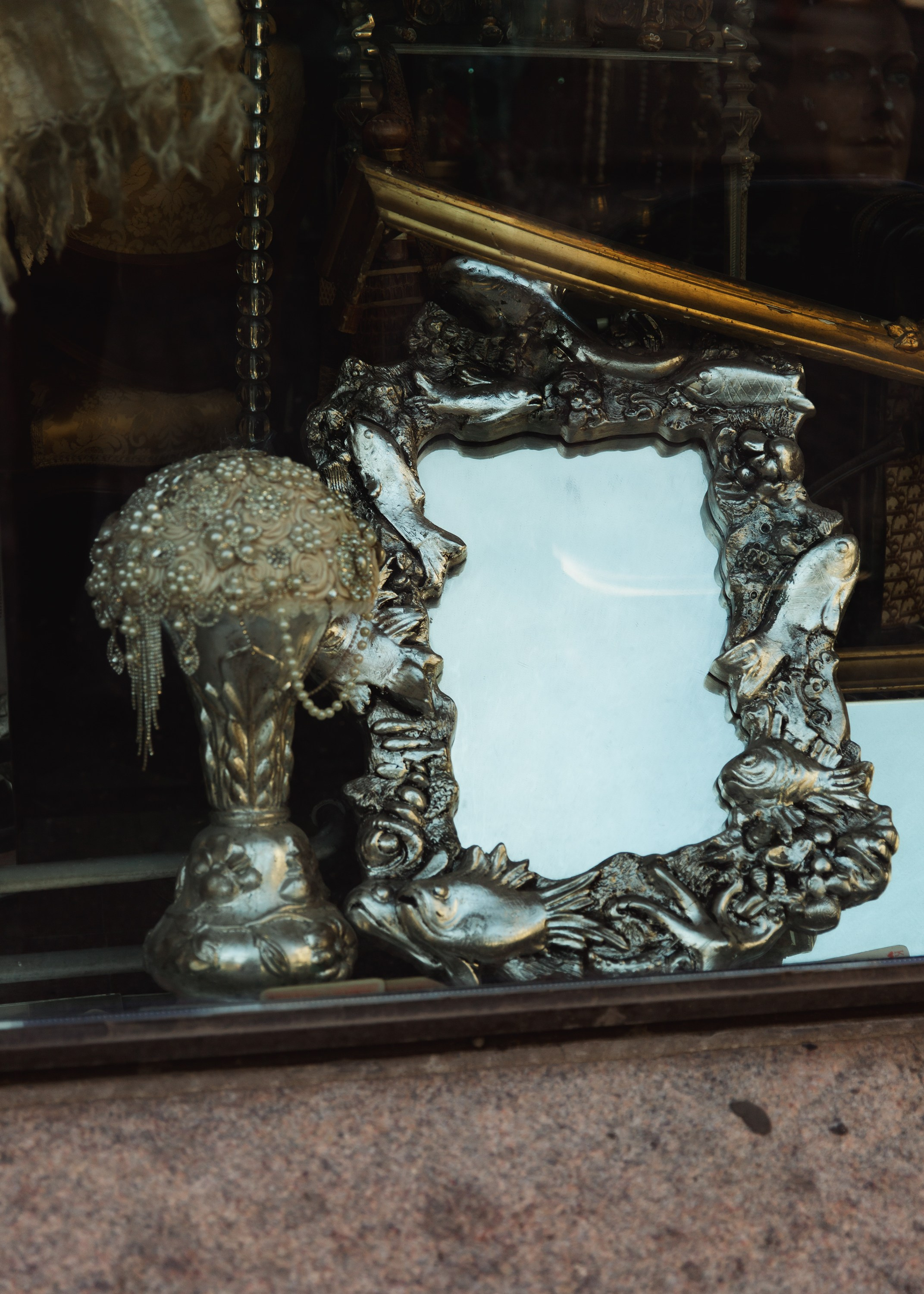 Helsinki. Kaja | fotograf psów we Wrocławiu