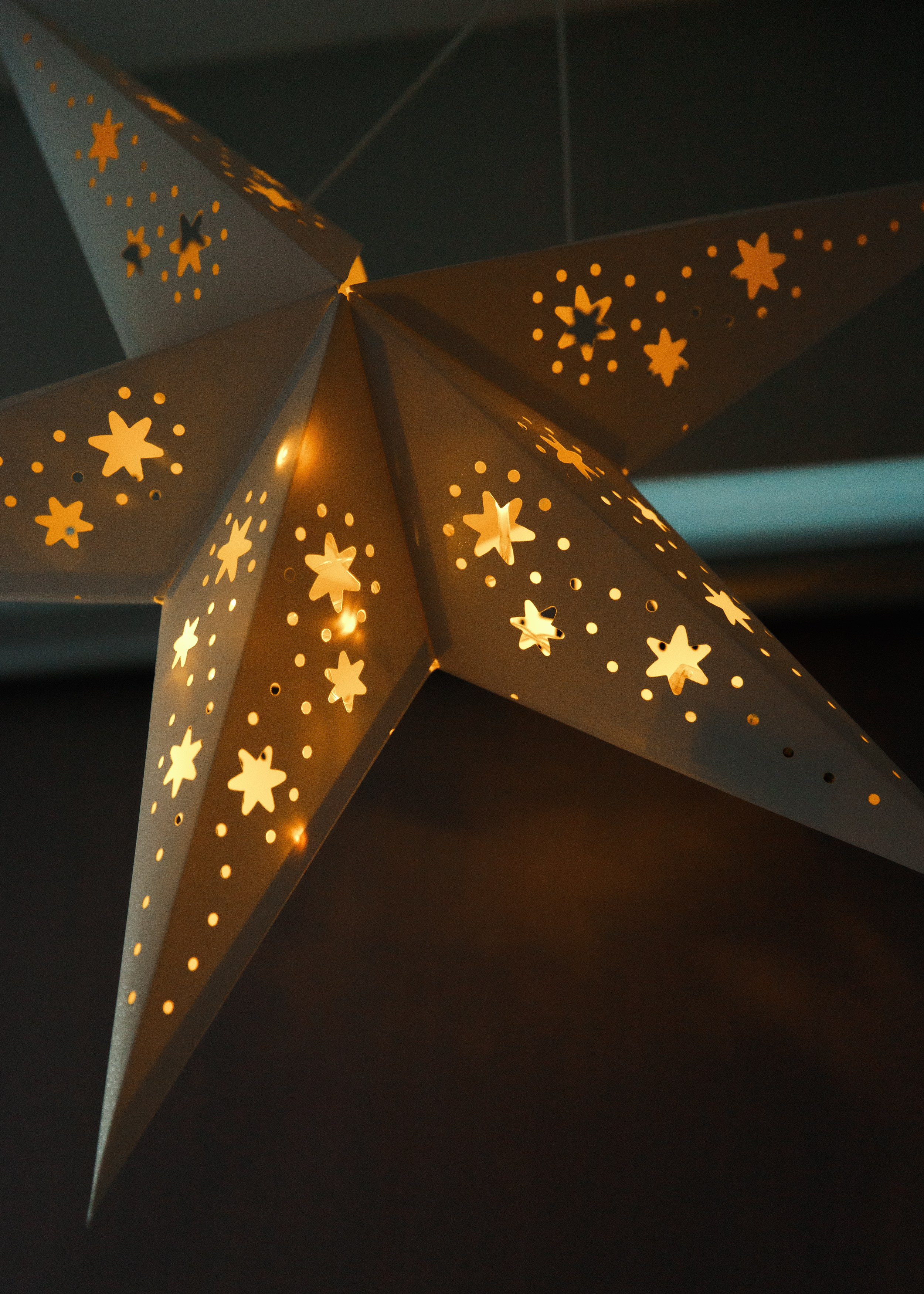 Fotografia psów Wrocław. Kaja | fotograf we Wrocławiu | ludzie i psy