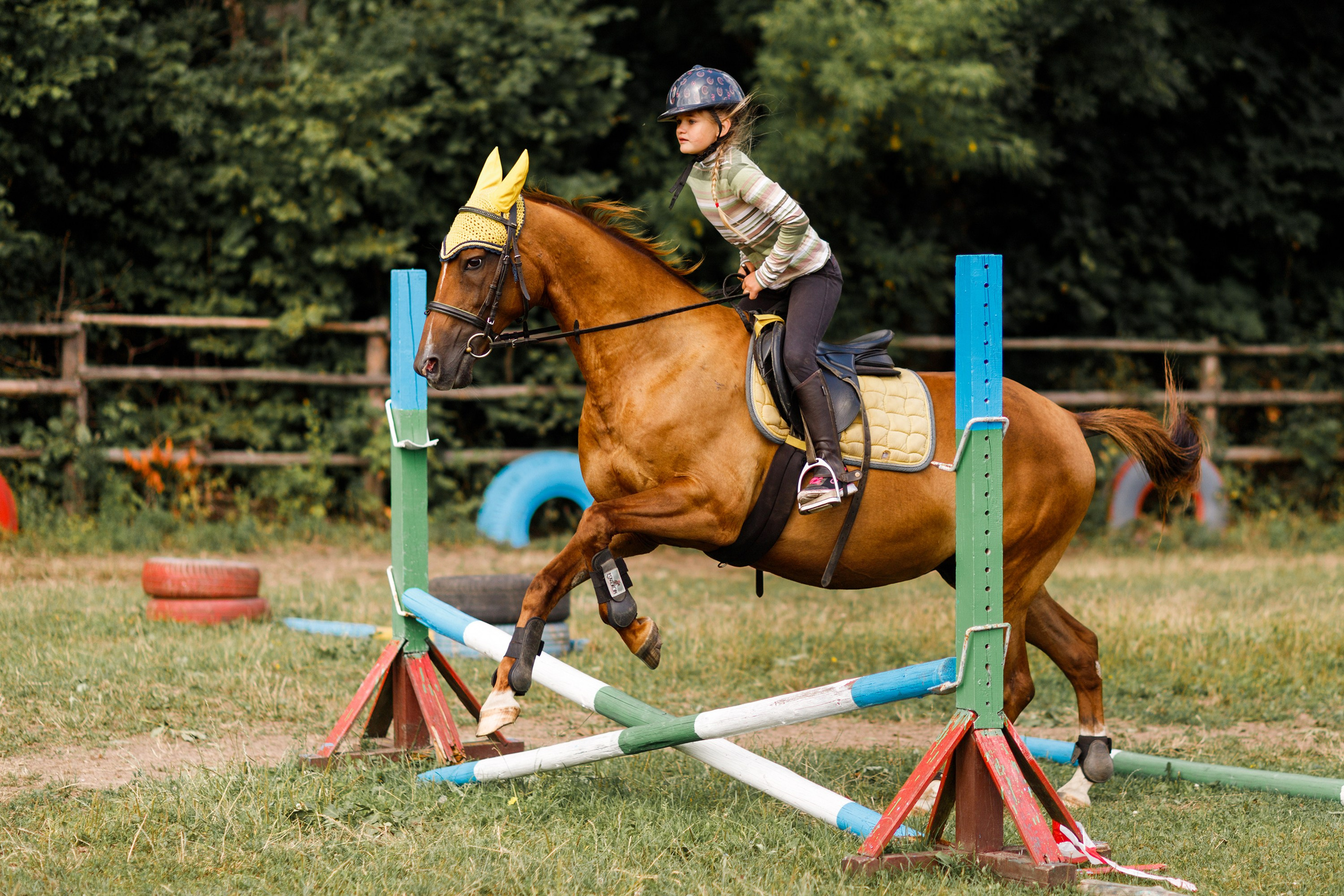 Girls & horses, summer. Kaja | fotograf psów we Wrocławiu