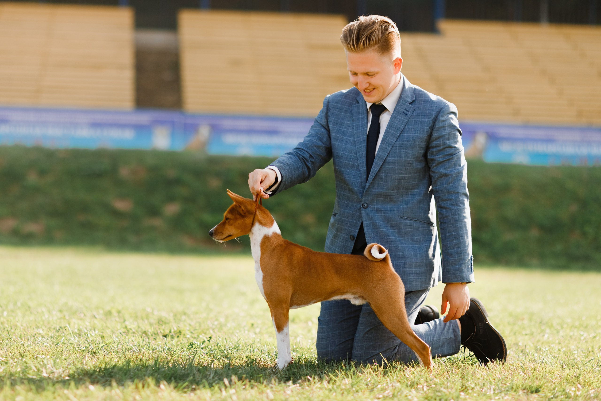 Dog shows | the best ones. Kaja | fotograf psów we Wrocławiu