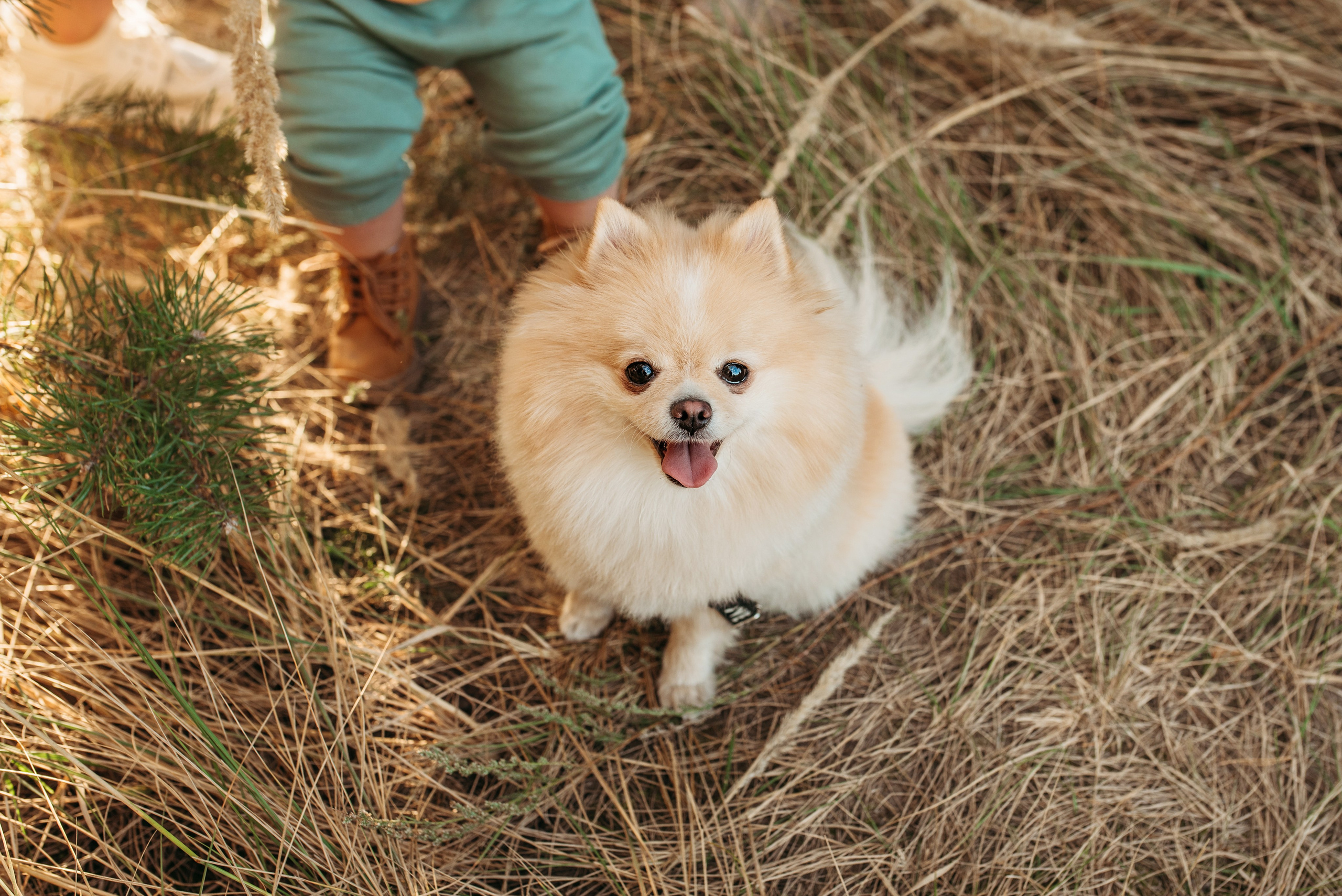 Marina & Artem & Timur. Familien- und Hochzeitsfotografin. Ich arbeite in Koblenz und Rheinlan