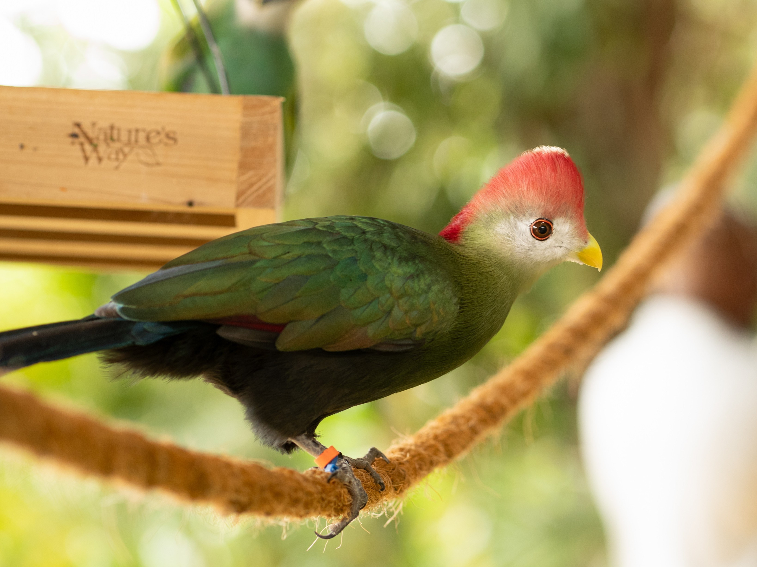 Tierwelt. Bürgerreporter & Amateurfotograf in Hannover