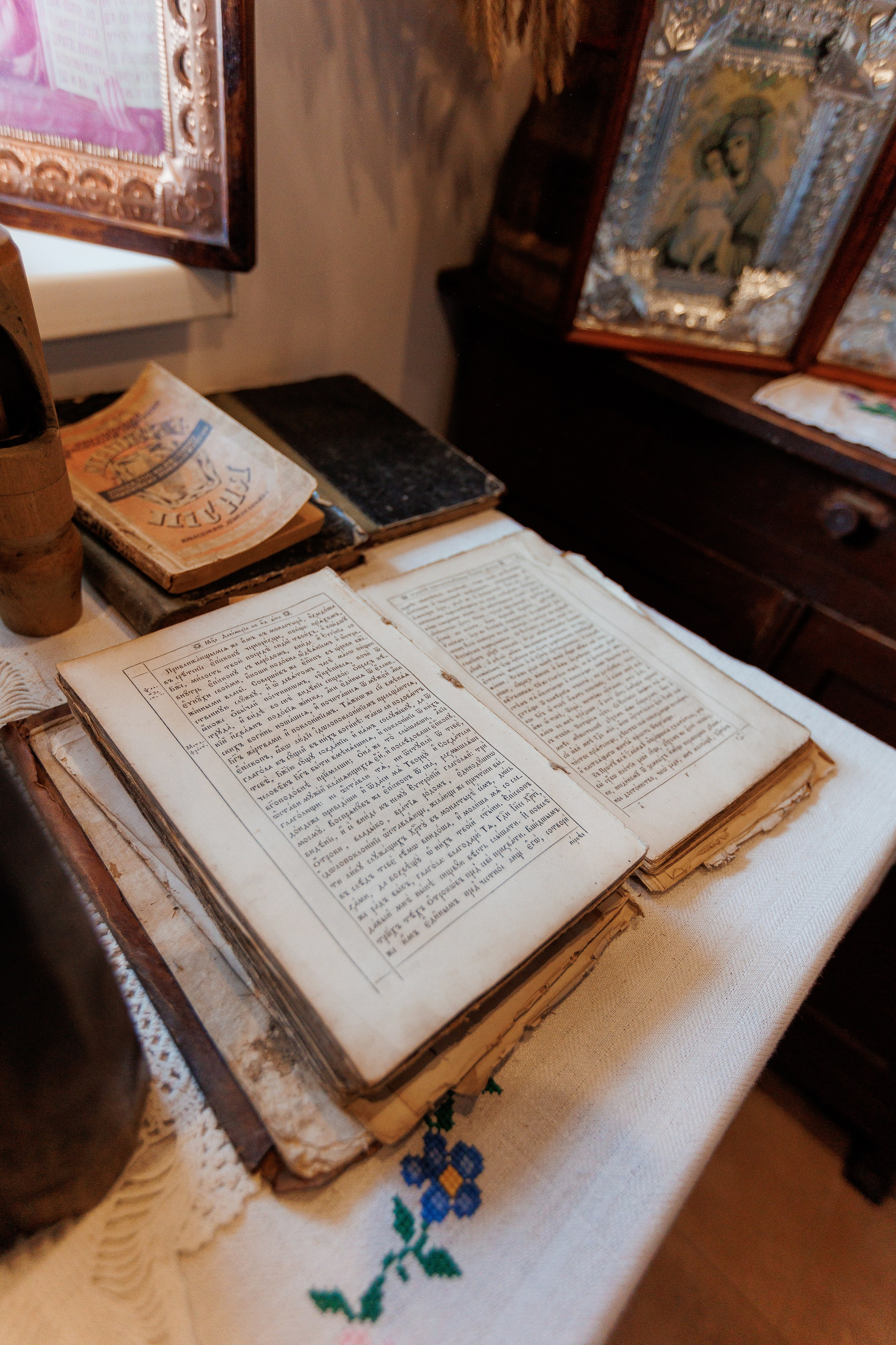 Екопарк Аміла. Ірина Терещук