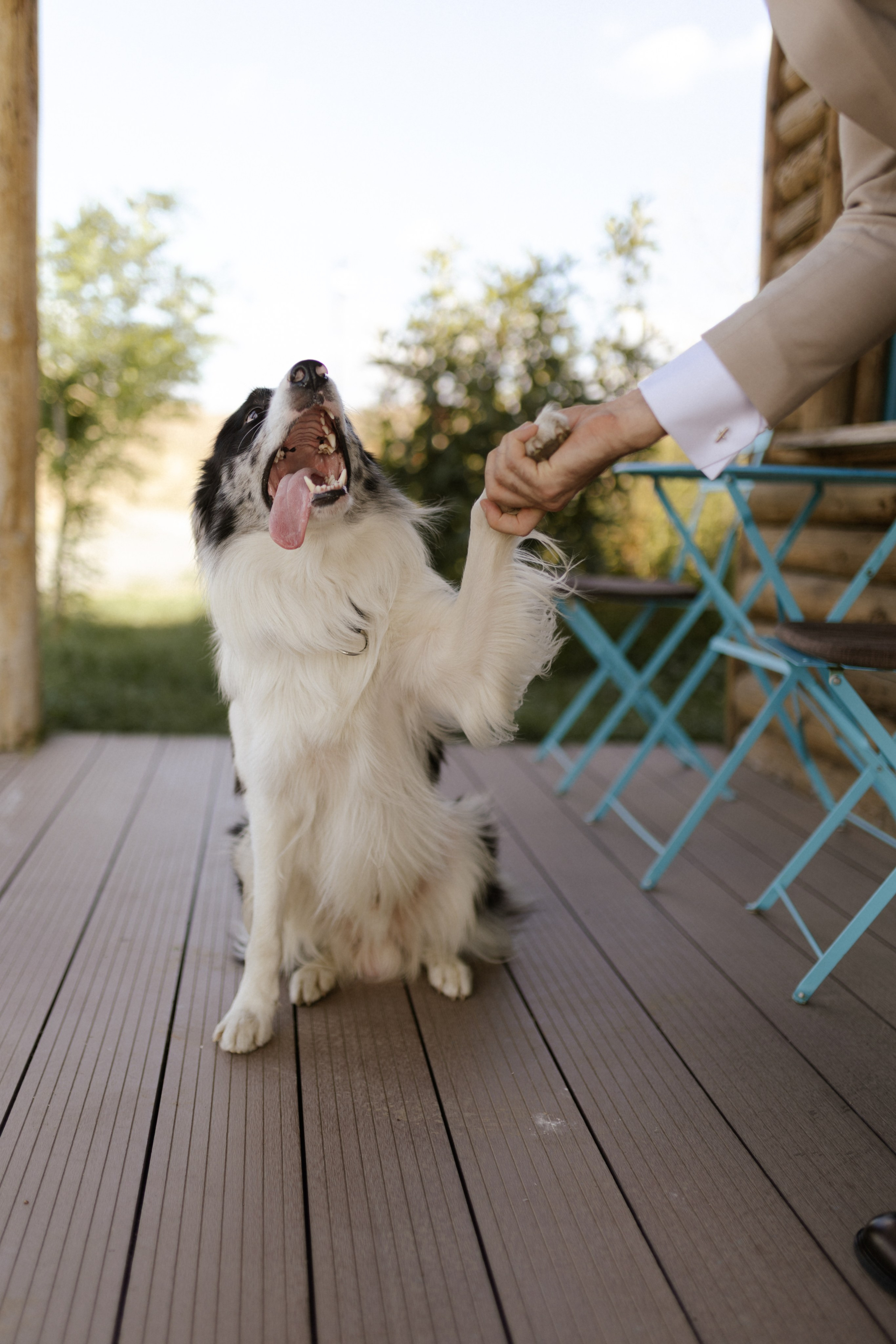 Wedding at Province Timisoara | Cristina & Robert. Wedding photographer and videographer based in Timisoara, Romania