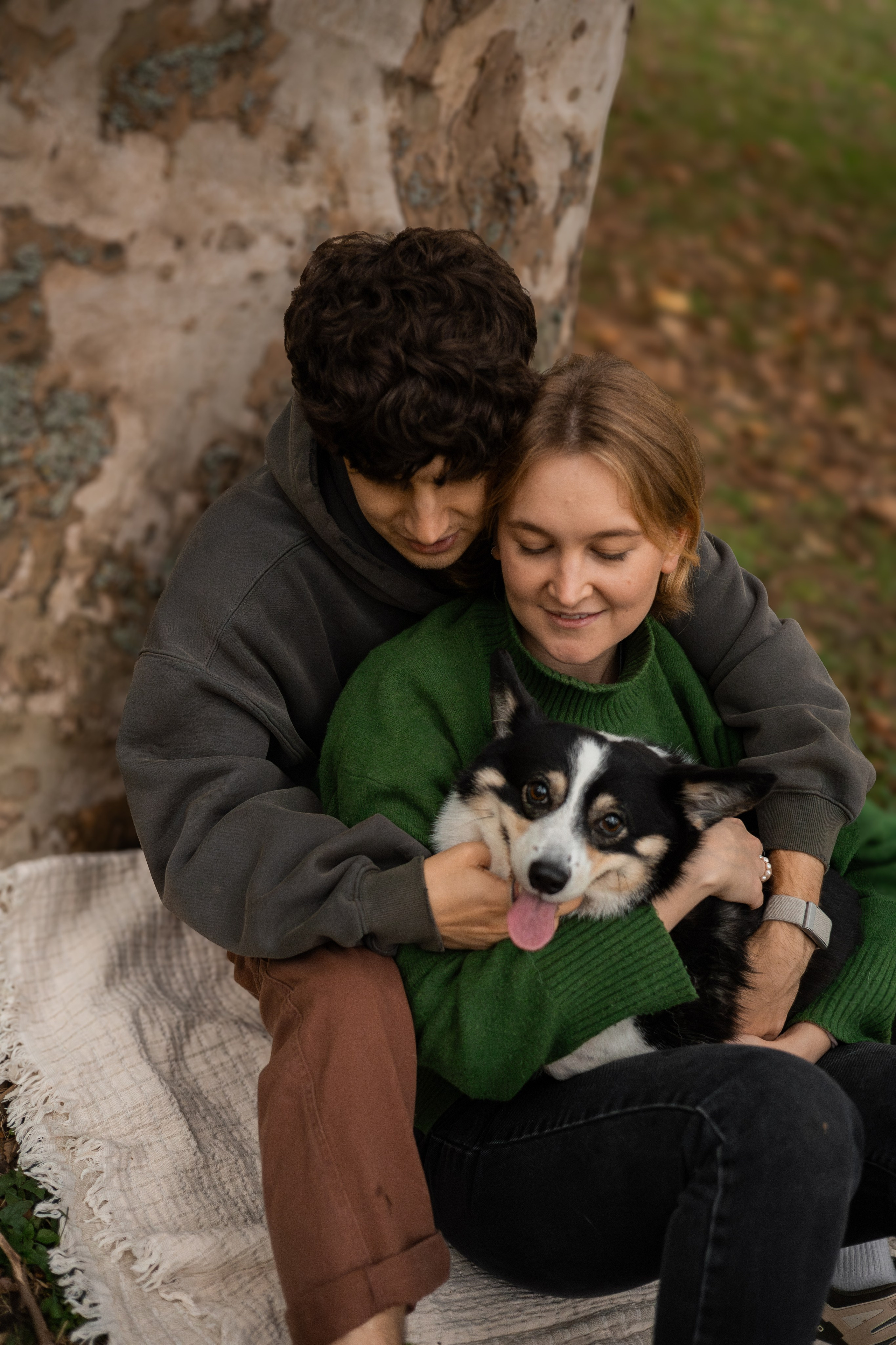 Даня, Аня и Плюша. Фотограф-анималист | Белград