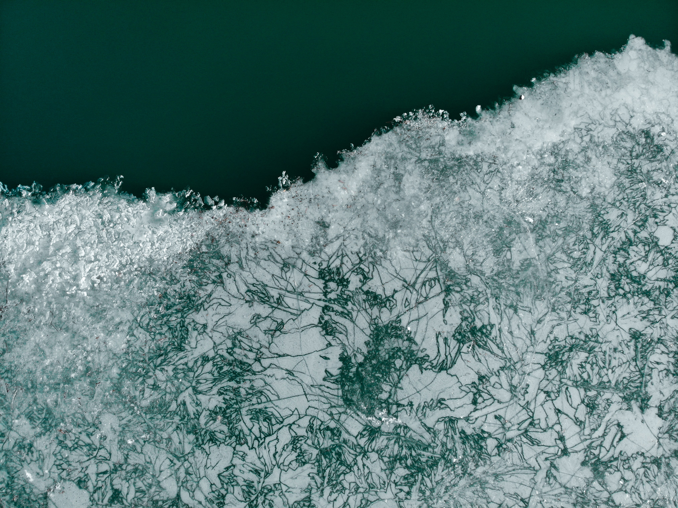 Nature. The Photographer