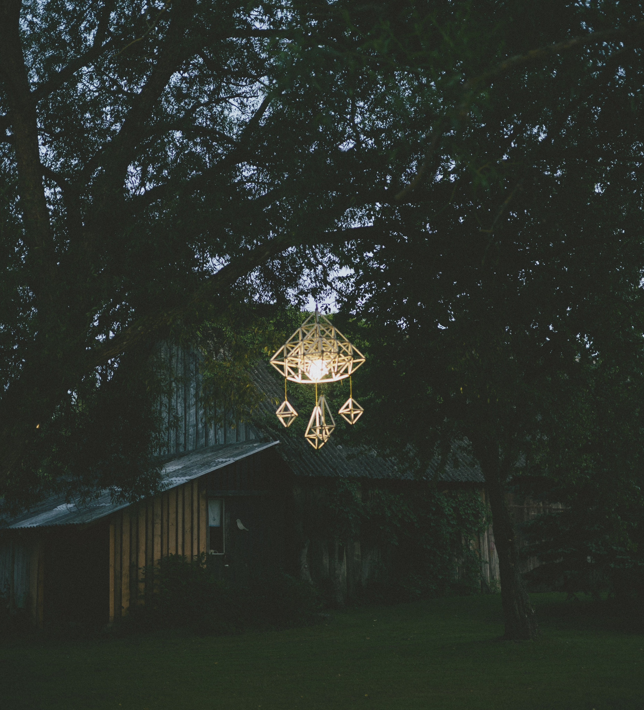 Vasara sode. Портретный фотограф Александра Самозванова