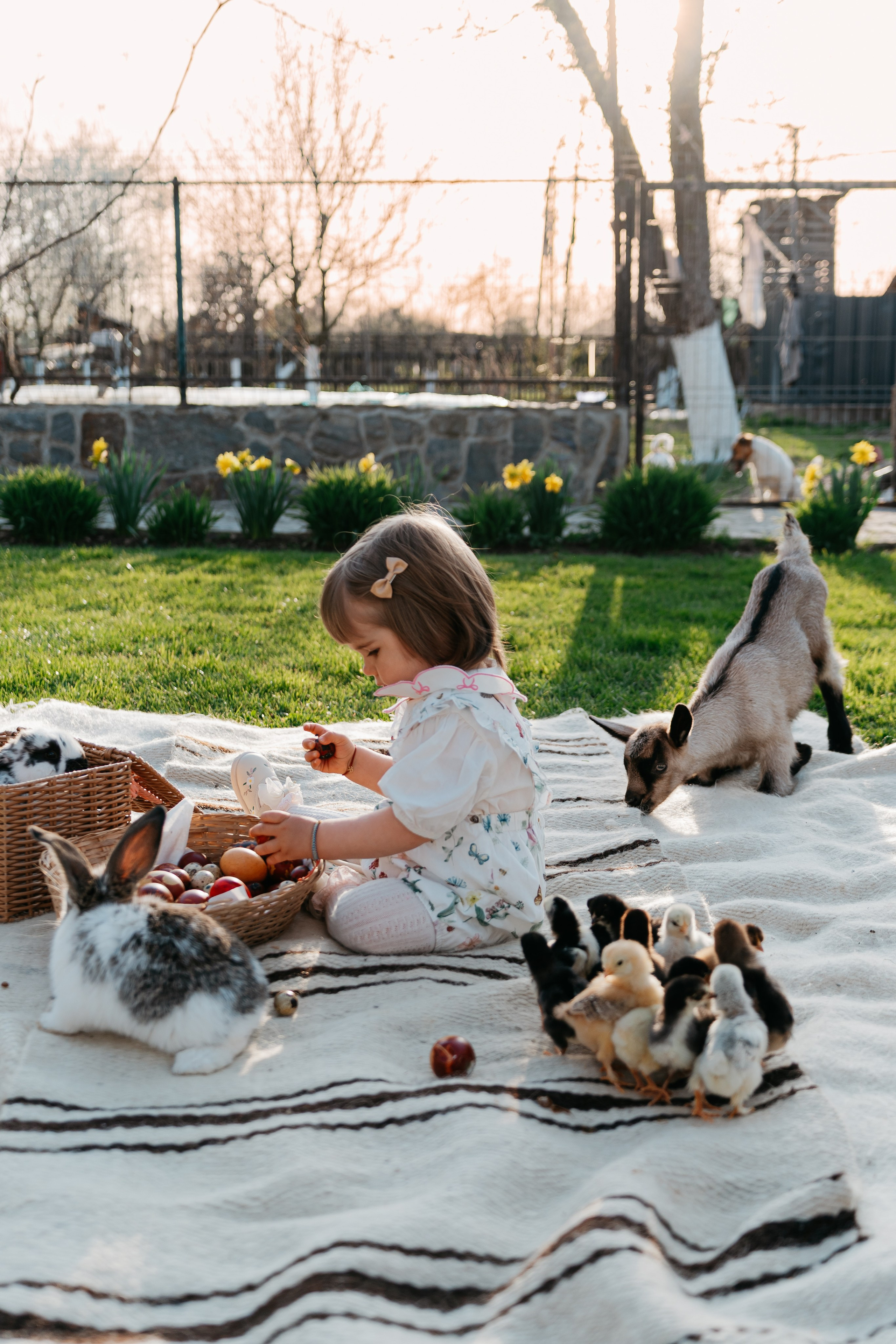 EASTER. Ars Vidi | Digital Solutions