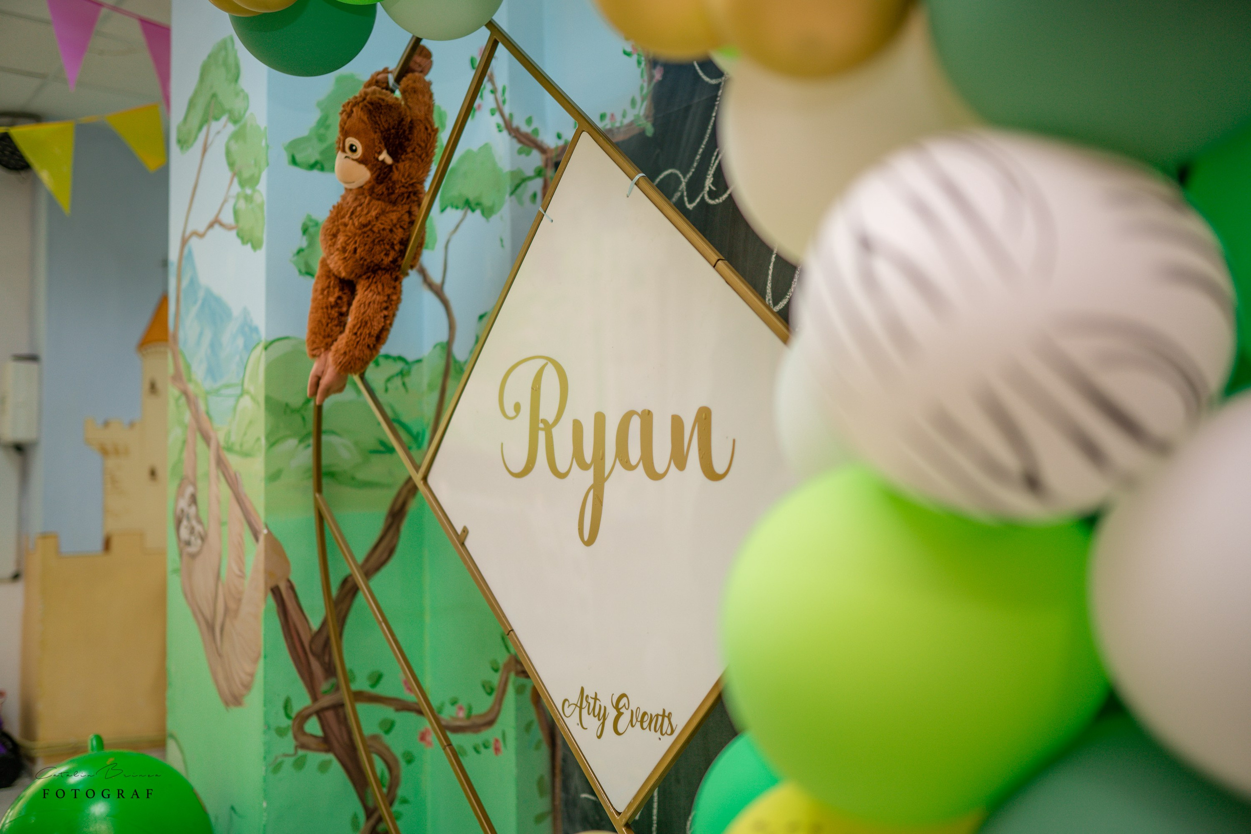 Taiere Mot — Ryan. Catalin Brinza