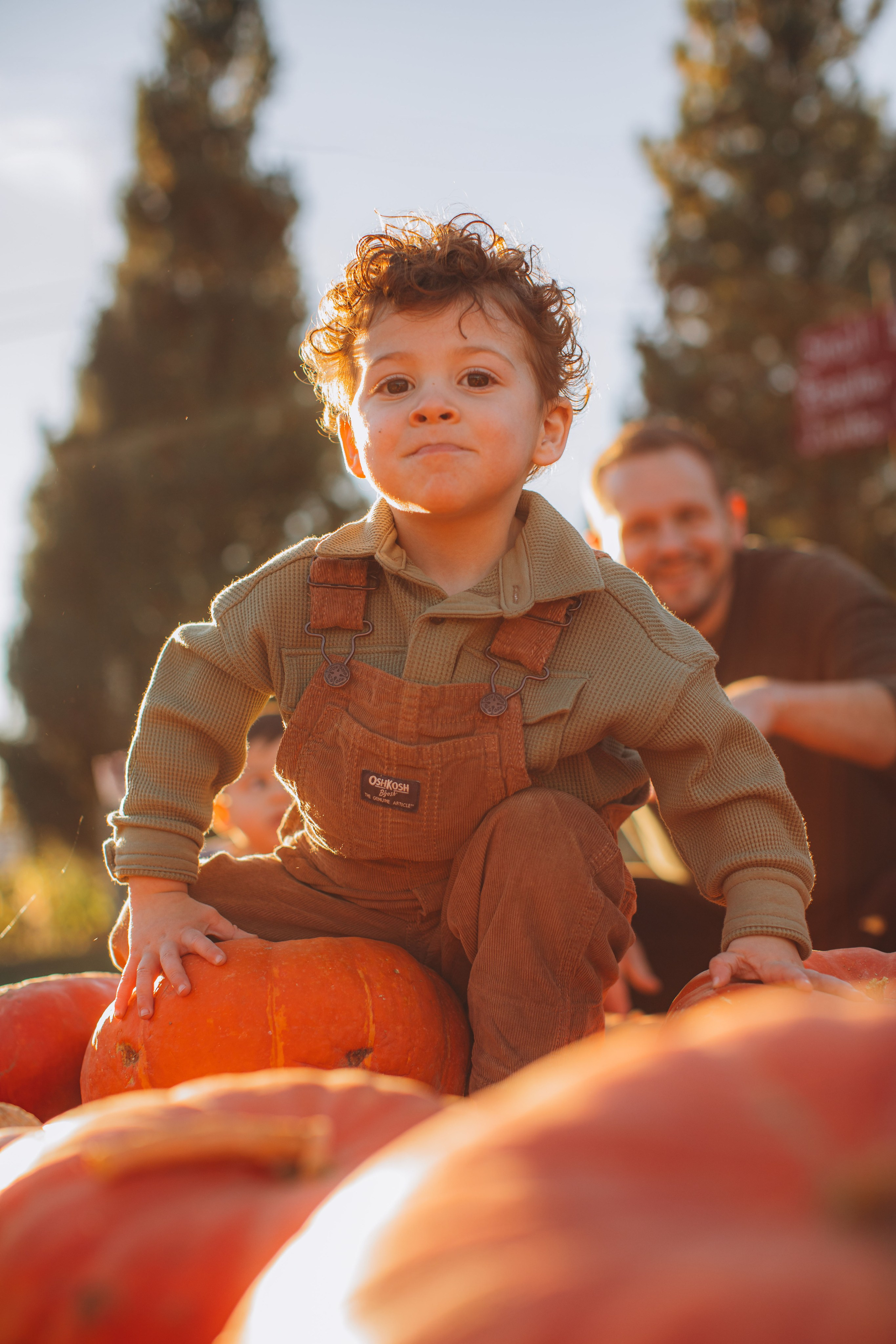 Victoria, Nick, Grayson and Noah at Harvest Moon Farm. Love Through Photo