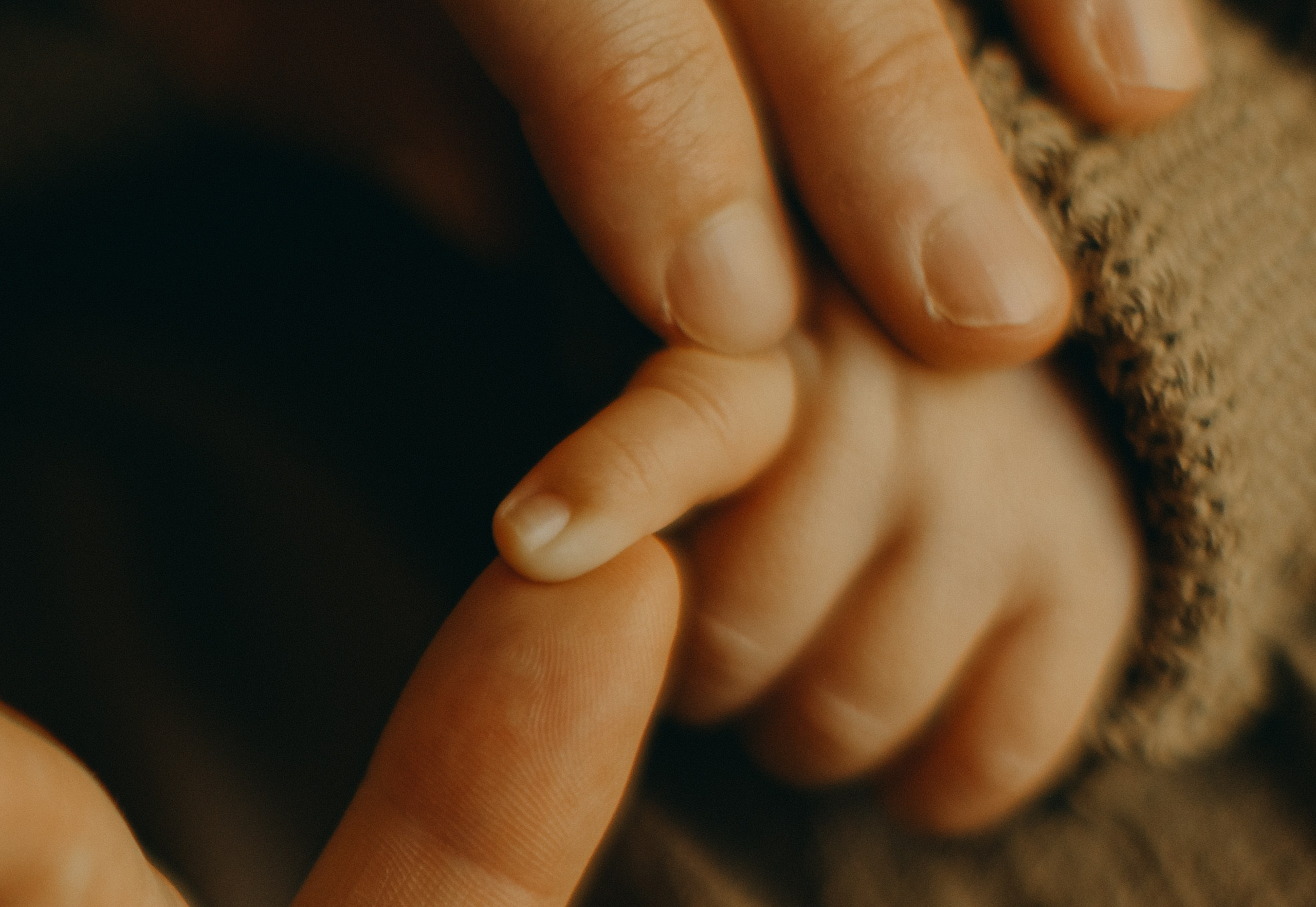 Anastasiia and Artem. Love Through Photo