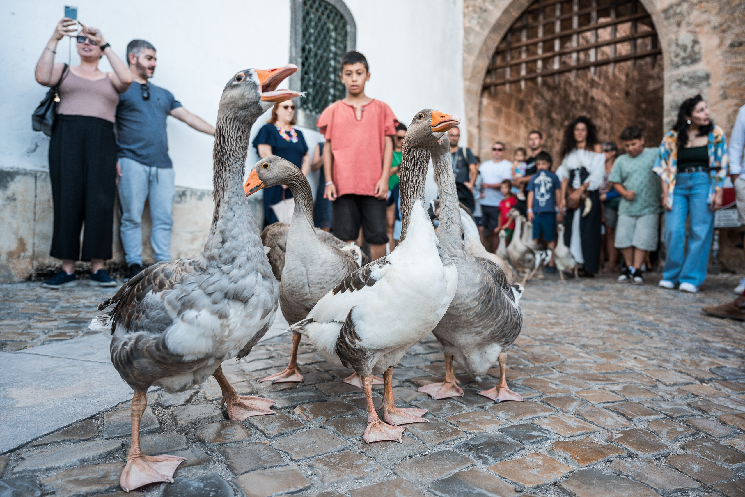 Luxury Event Photography | Beyond Creative. Beyond Creative 20 | Cinematic Video & Photography Production Lisbon & Algarve